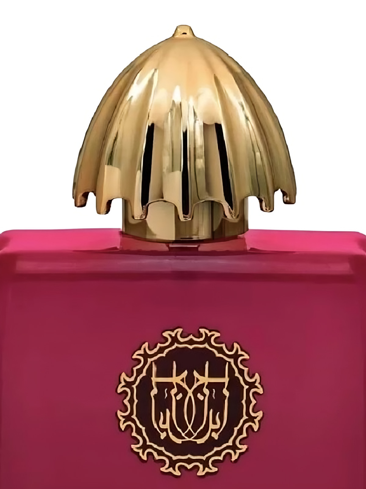 Парфюмерная вода Fragrance World Abraaj Carmine Eau de Parfum унисекс 100 мл фото 3