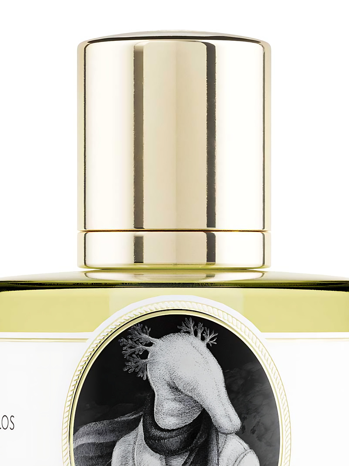 Духи Zoologist Perfumes Olm Extrait de Parfum унисекс 60 мл фото 5