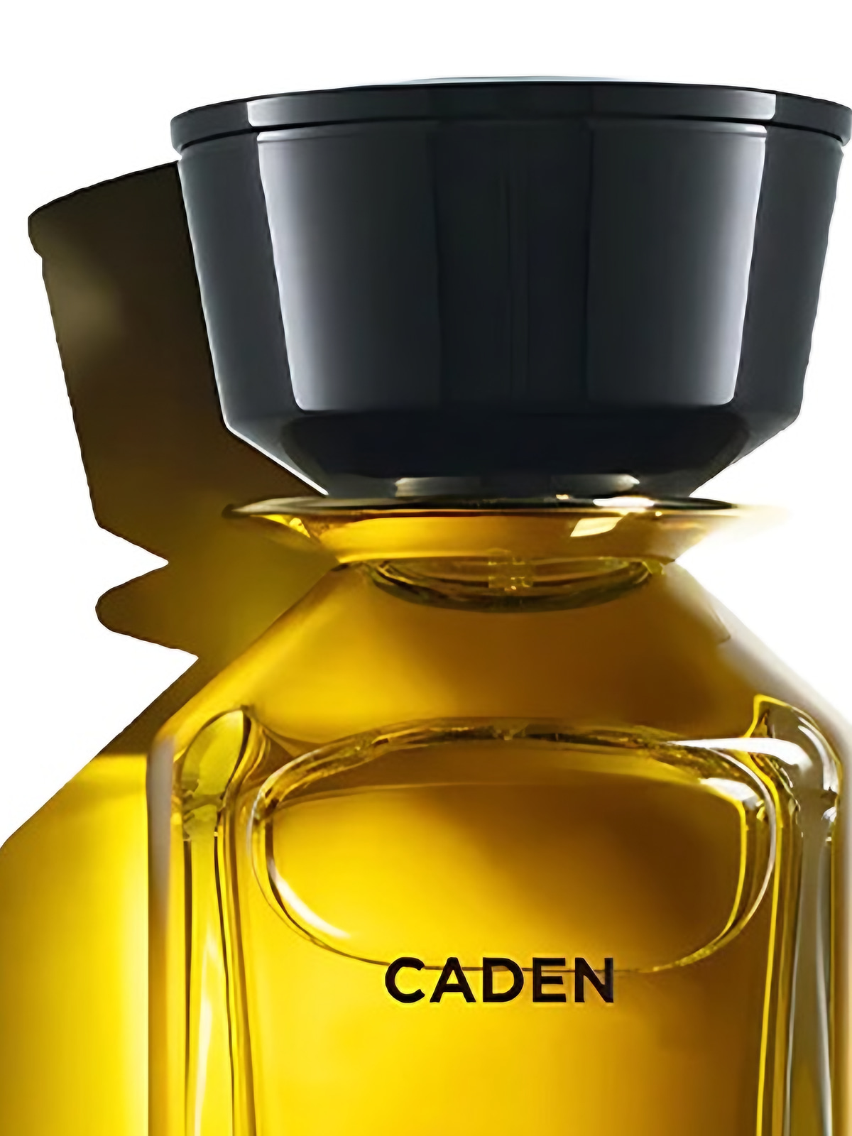 Парфюмерная вода Omanluxury Caden Eau de Parfum унисекс 100 мл фото 3