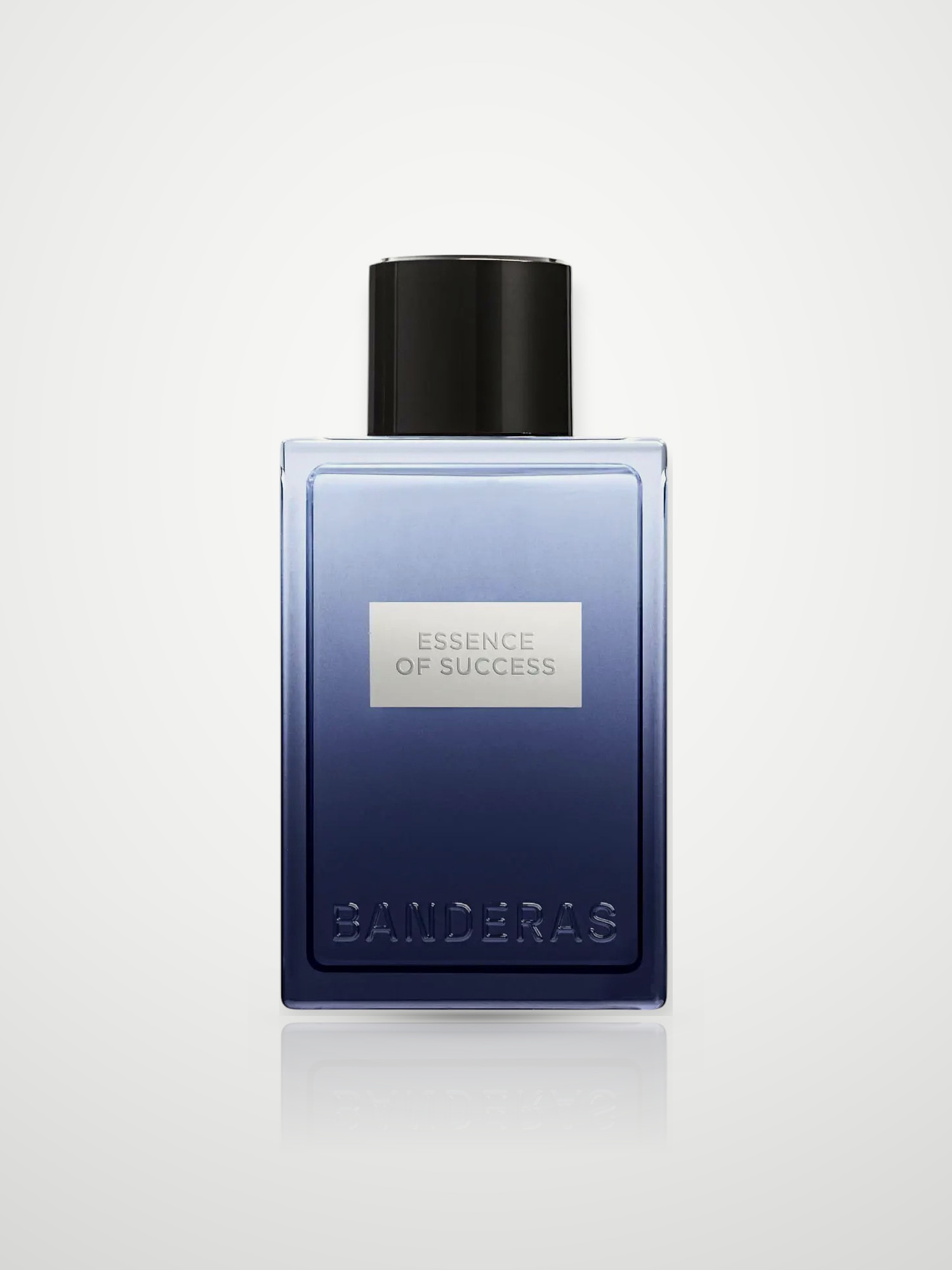 Туалетная вода Antonio Banderas Essence of Success Eau de Toilette мужская 100 мл Antonio Banderas