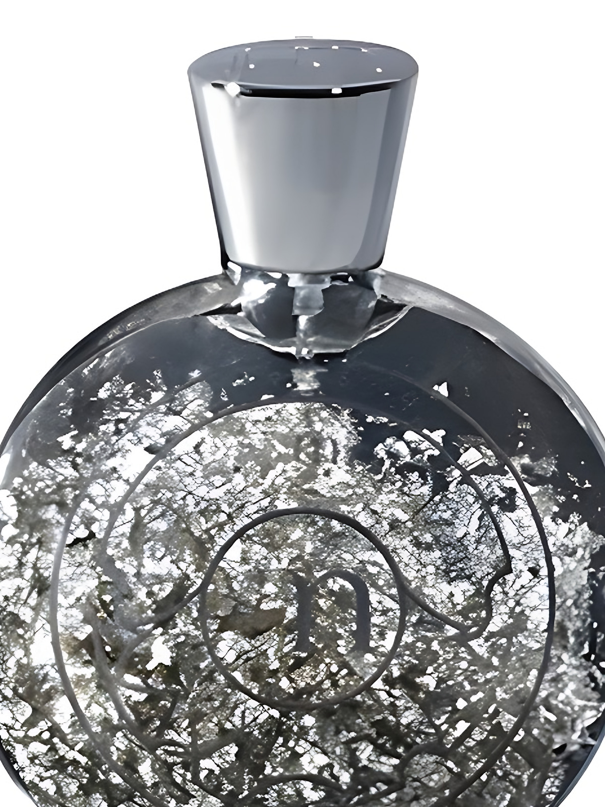 Парфюмерная вода Ramon Molvizar Art & Silver & Perfume Eau de Parfum женская 75 мл фото 2