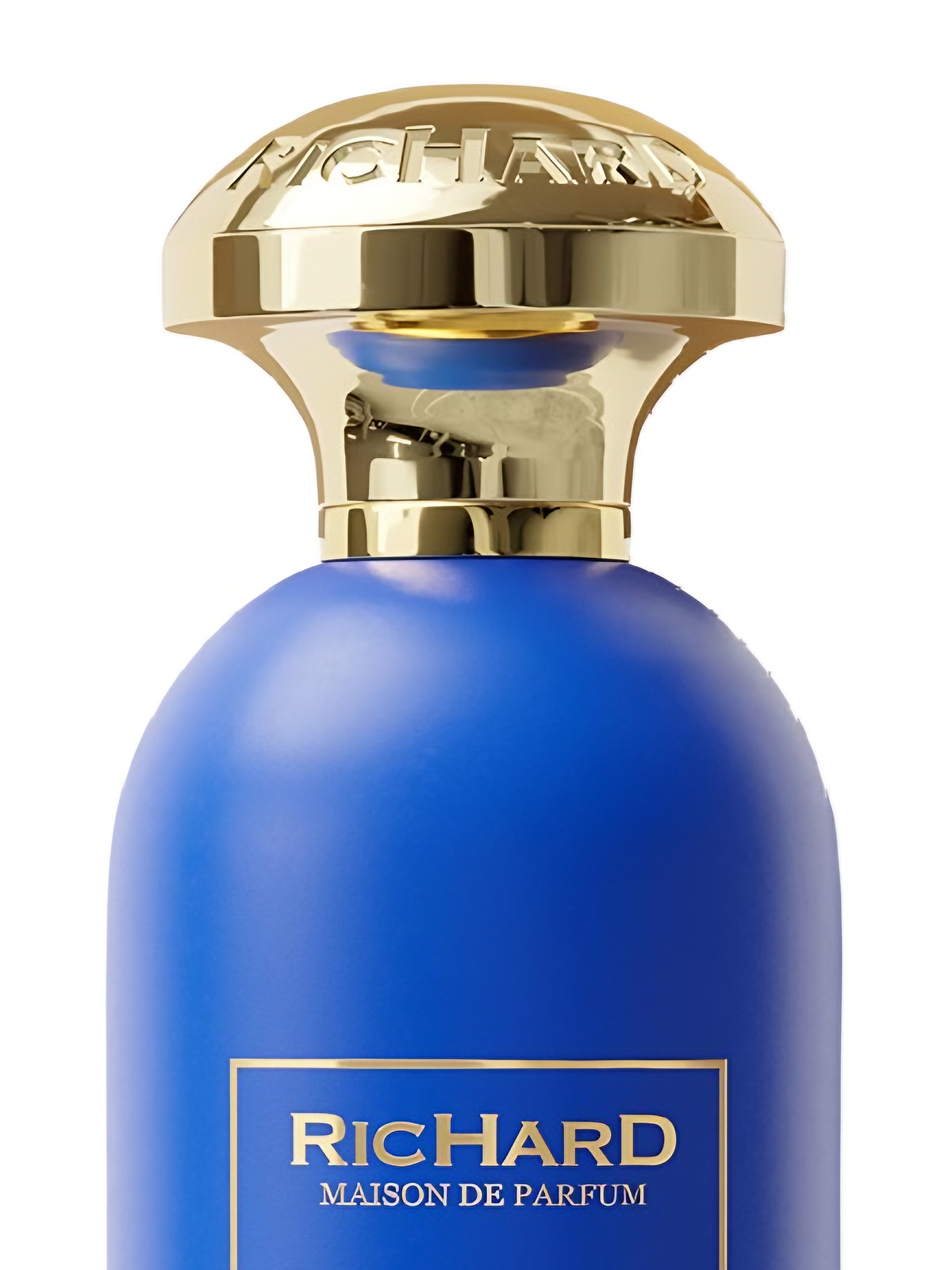 Парфюмерная вода Richard Fizzy Mineral Eau de Parfum унисекс 100 мл фото 2