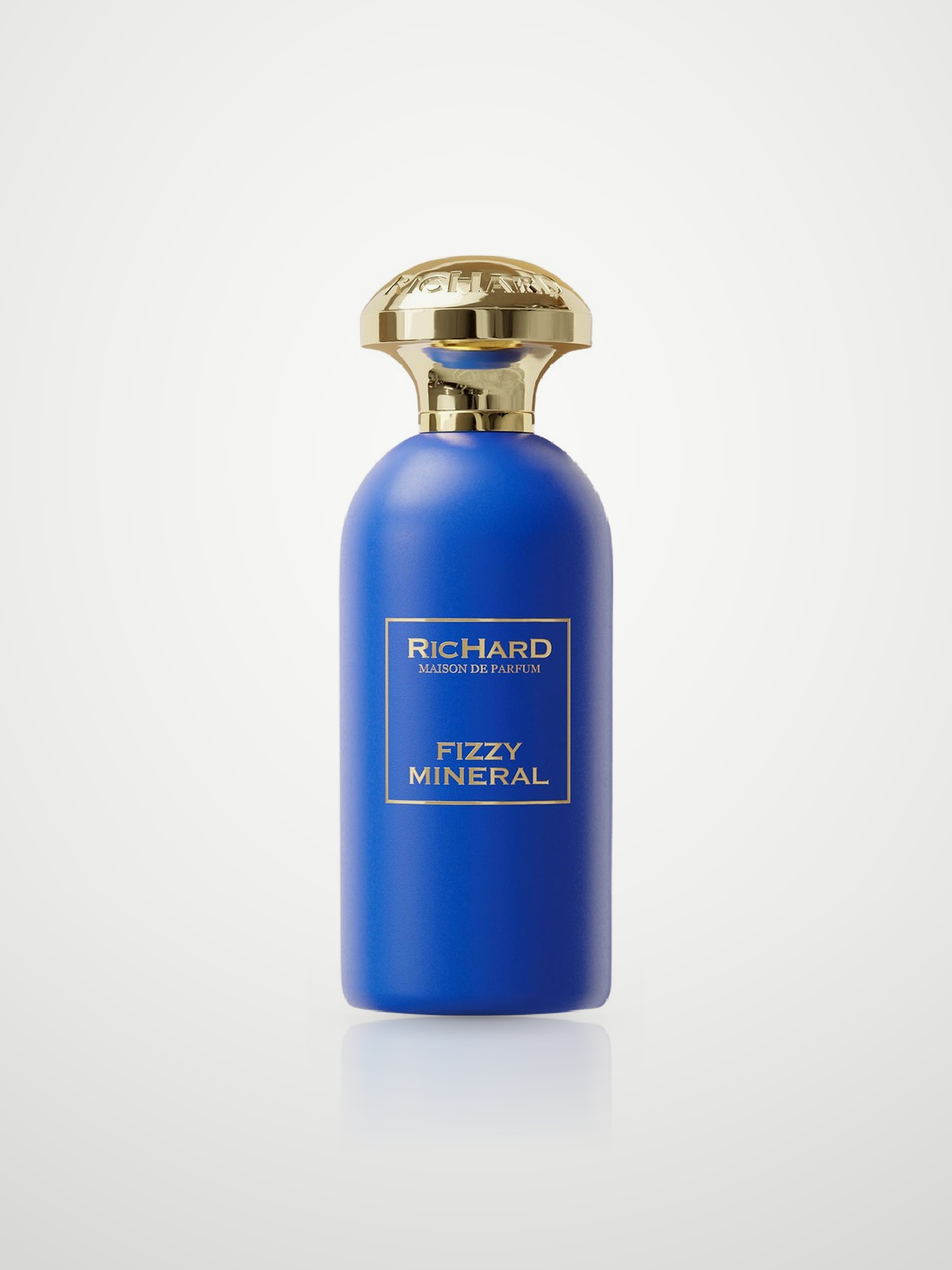 Парфюмерная вода Richard Fizzy Mineral Eau de Parfum унисекс 100 мл RICHARD