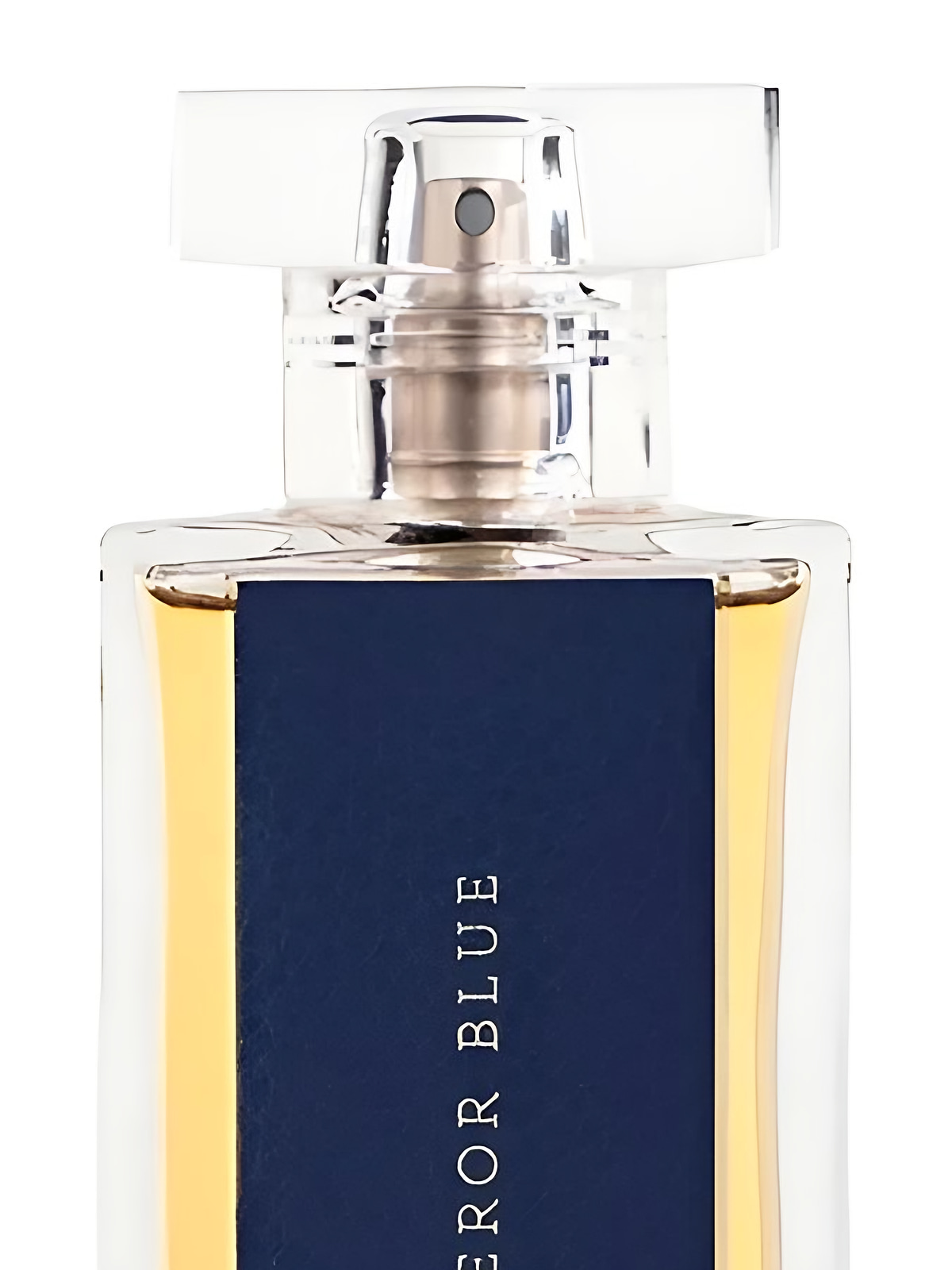 Парфюмерная вода Emperor Blue V Eau de Parfum женская 100 мл фото 2