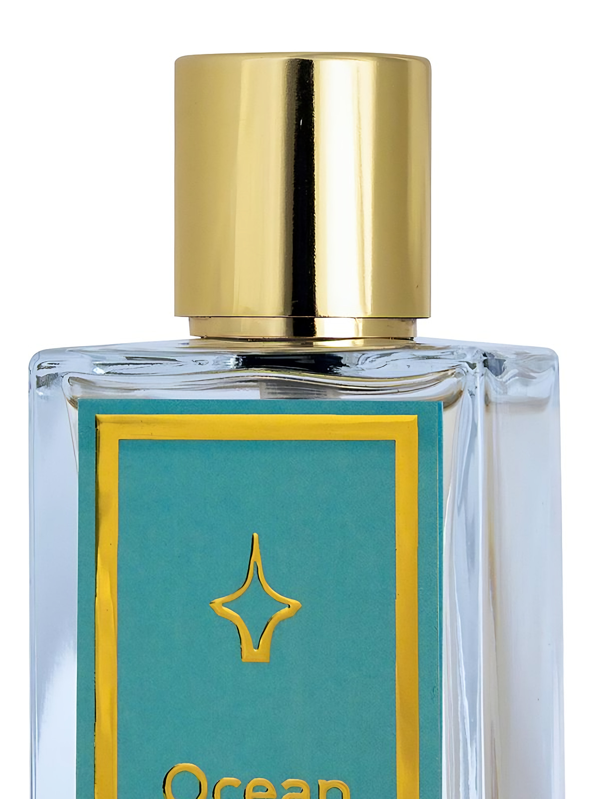 Парфюмерная вода Di Caprio Parfum Ocean Scent Eau de Parfum унисекс 100 мл фото 2