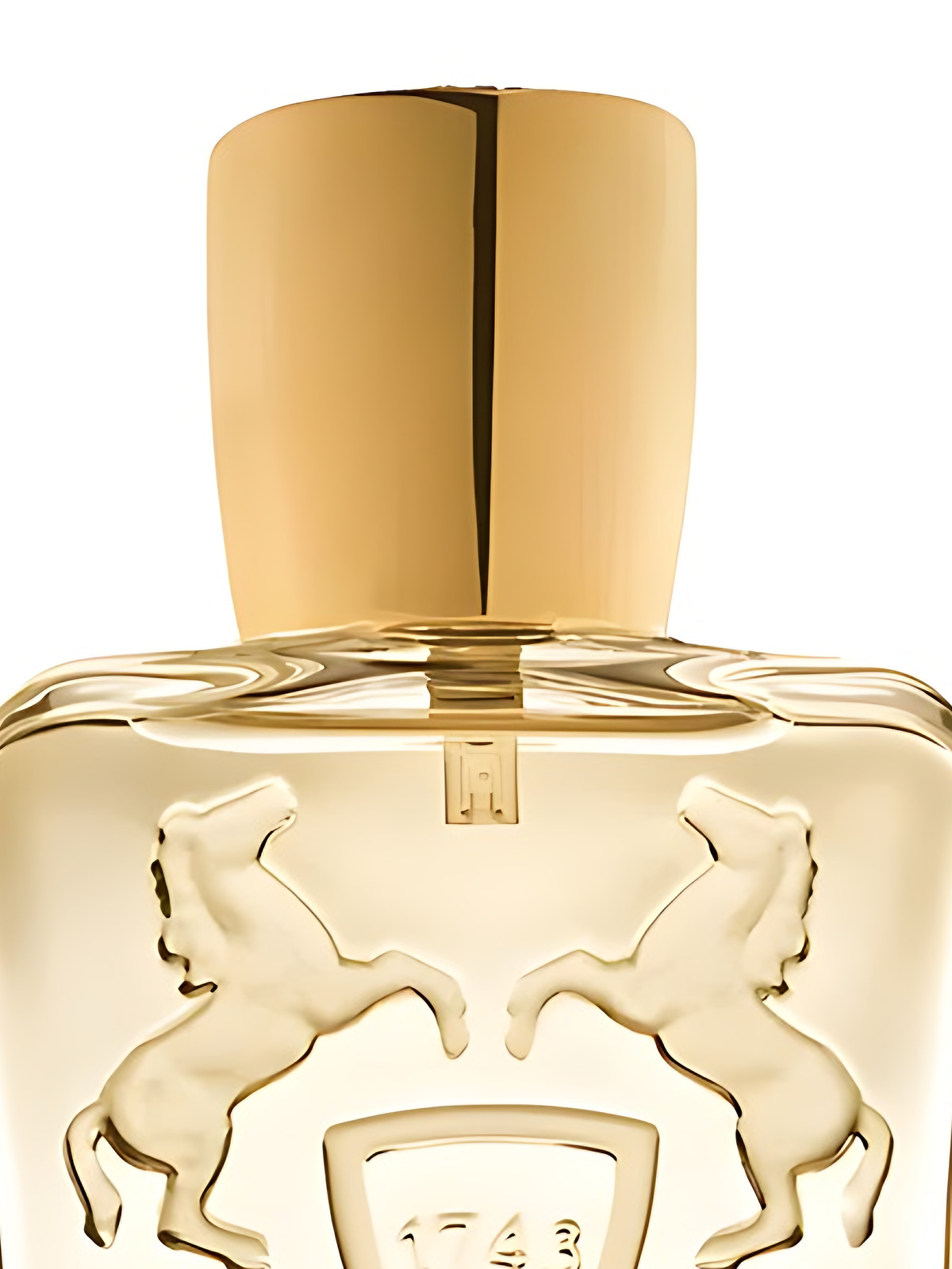Парфюмерная вода Parfums de Marly Shagya Eau de Parfum мужская 125 мл фото 3
