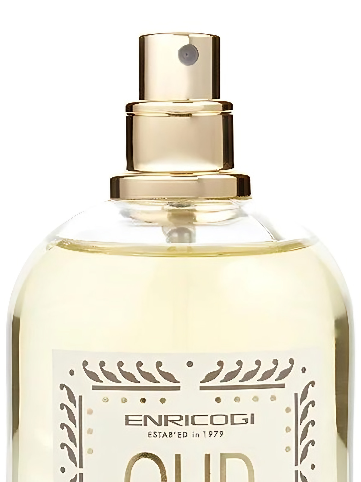 Парфюмерная вода Enrico Gi Oud Intense Eau de Parfum мужская 100 мл фото 2