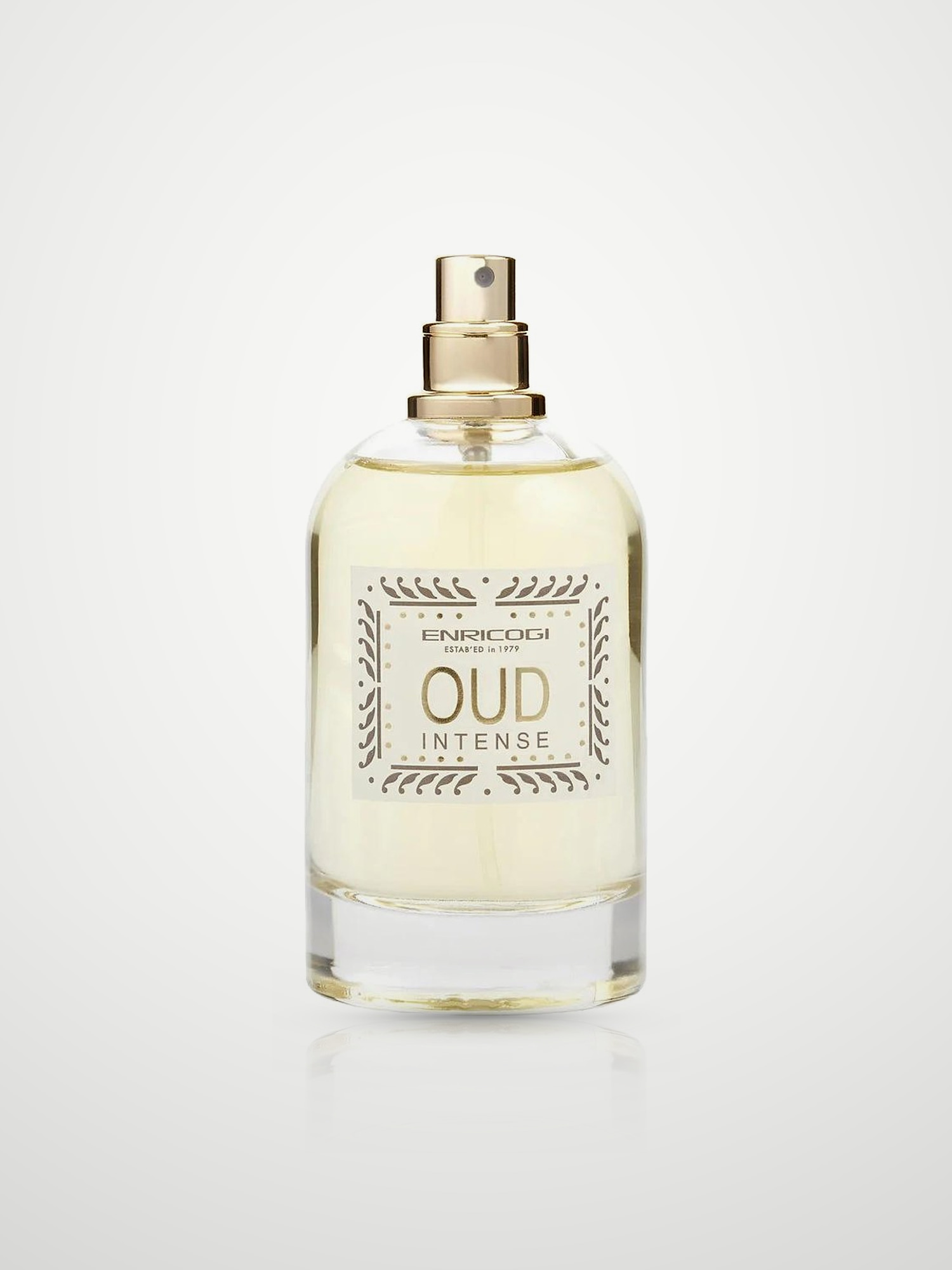Парфюмерная вода Enrico Gi Oud Intense Eau de Parfum мужская 100 мл Enrico Gi