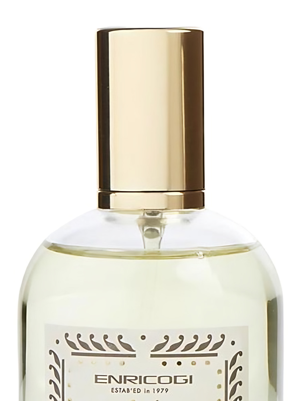 Парфюмерная вода Enrico Gi Oud Magnifico Eau de Parfum мужская 100 мл фото 3