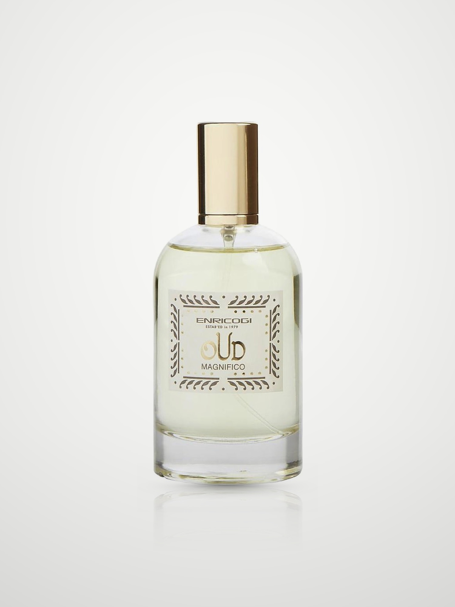 Парфюмерная вода Enrico Gi Oud Magnifico Eau de Parfum мужская 100 мл Enrico Gi