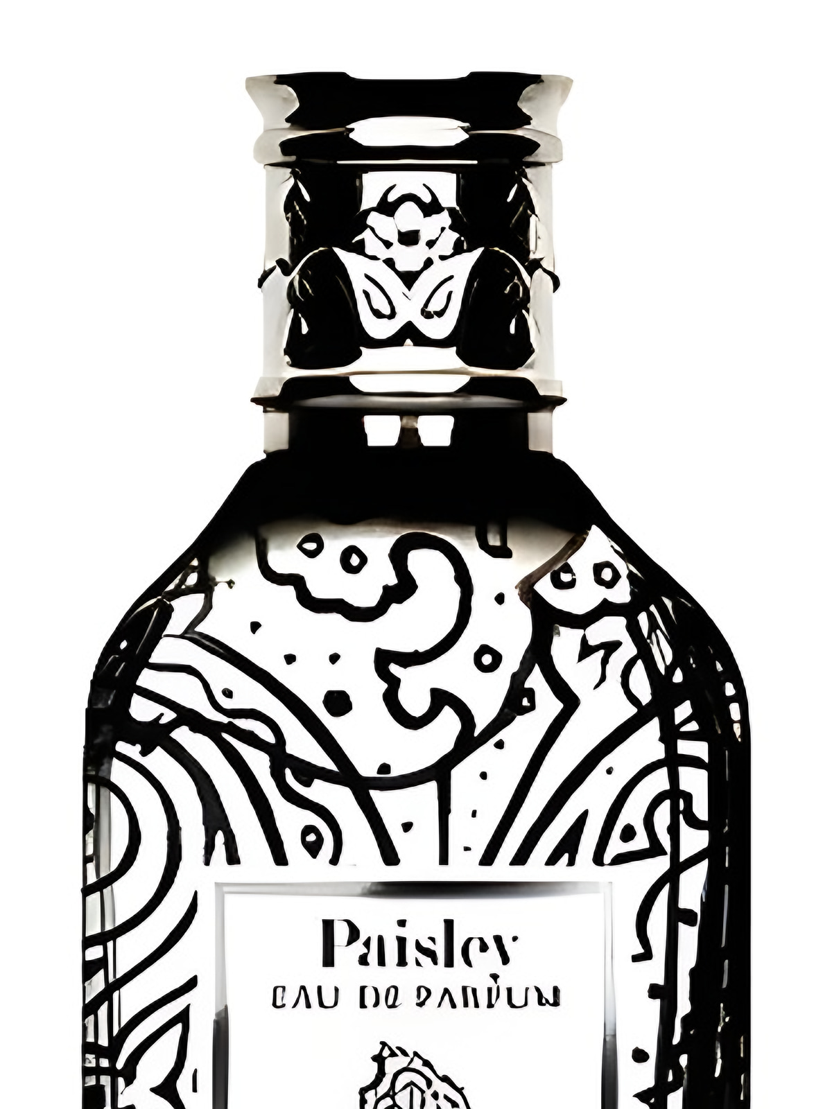 Etro Paisley Парфюмерная вода унисекс 100 мл фото 4