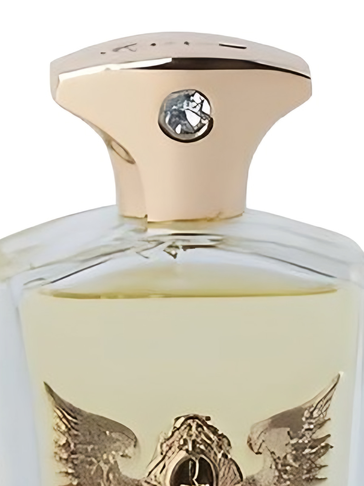 Парфюмерная вода Spada Noir Eau de Parfum унисекс 100 мл, зеленый древесный аромат фото 4