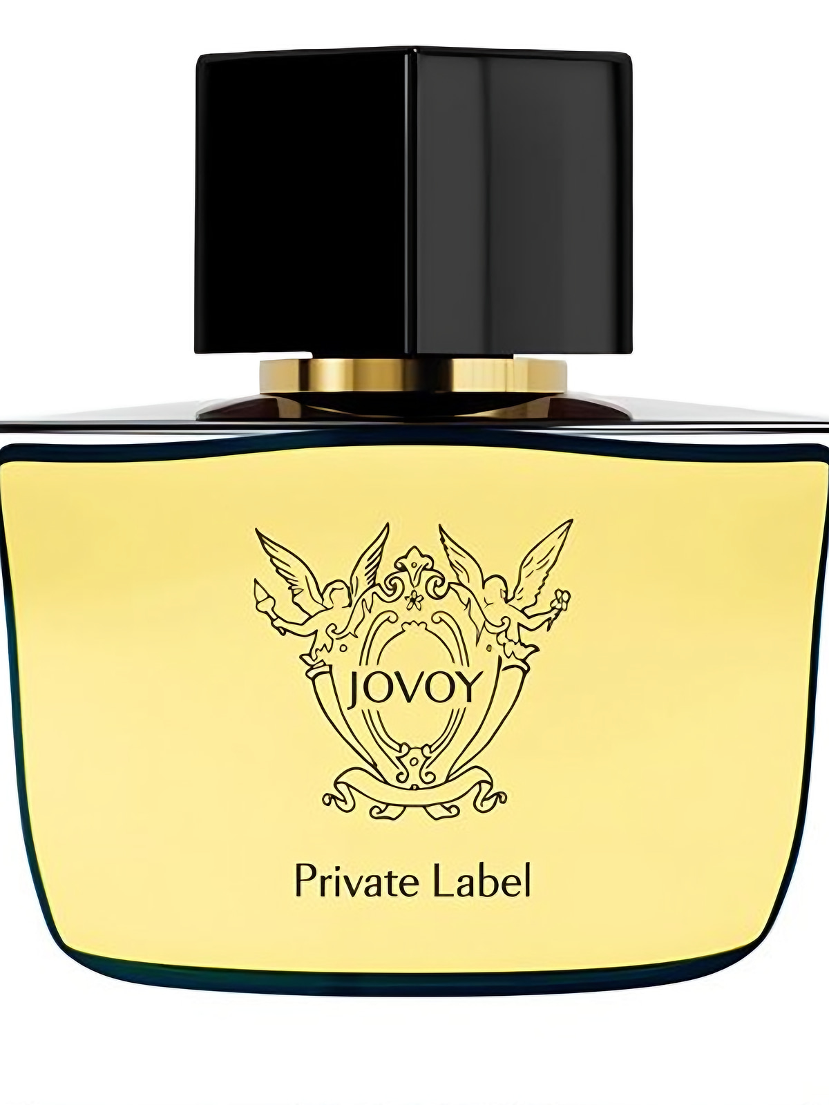 Парфюмерная вода Jovoy Paris Private Label Eau de Parfum унисекс 100 мл фото 3