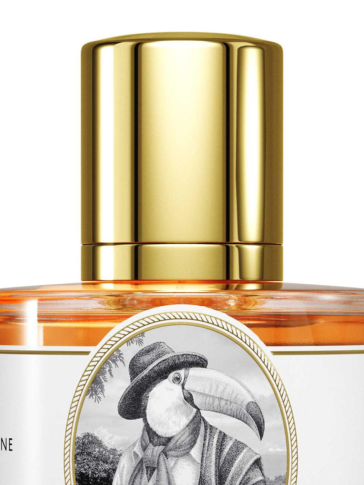 Духи Zoologist Perfumes Toucan Extrait de Parfum унисекс 60 мл фото 5