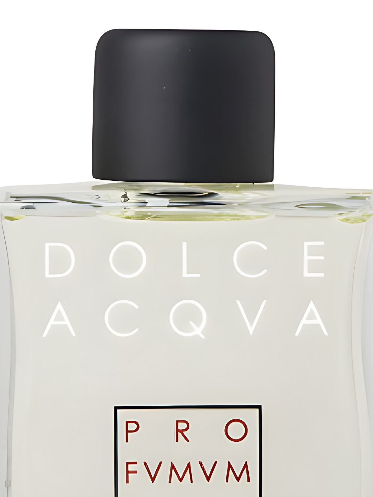 Парфюмерная вода Profumum Roma Dolce Acqua Eau de Parfum унисекс 100 мл фото 3