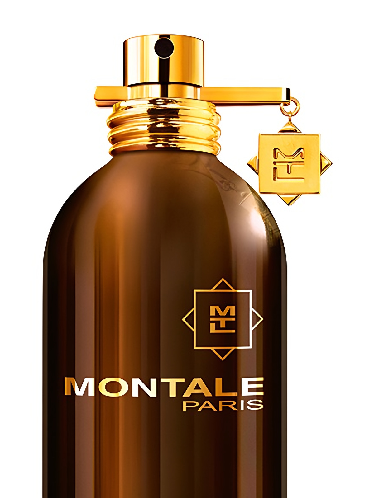 Парфюмерная вода Montale Aoud Ever Eau de Parfum унисекс 100 мл фото 7