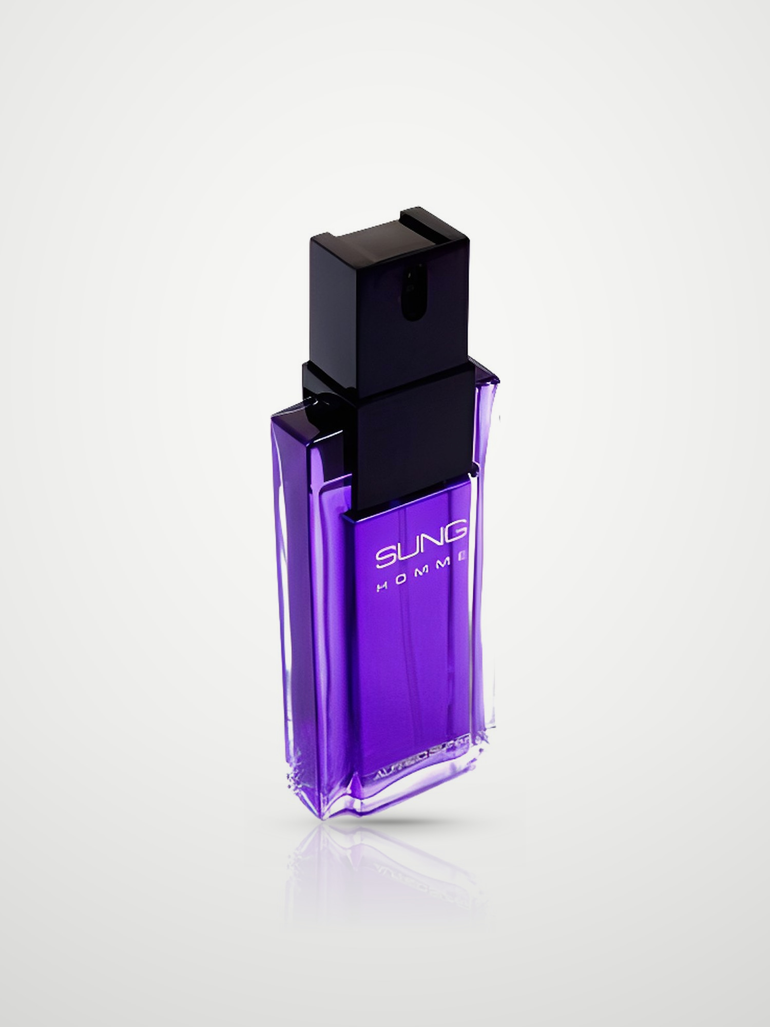Туалетная вода Alfred Sung Sung Homme Eau de Toilette мужская 100 мл Alfred