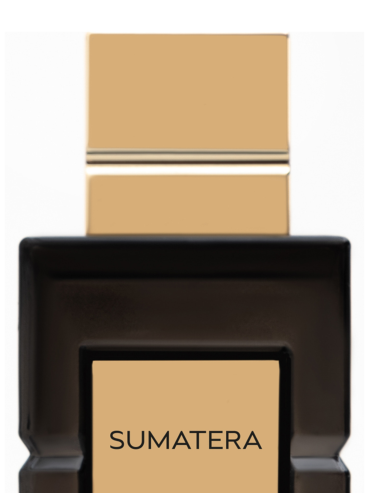 Парфюмерная вода Coquillete Sumatera Eau de Parfum унисекс 100 мл фото 3