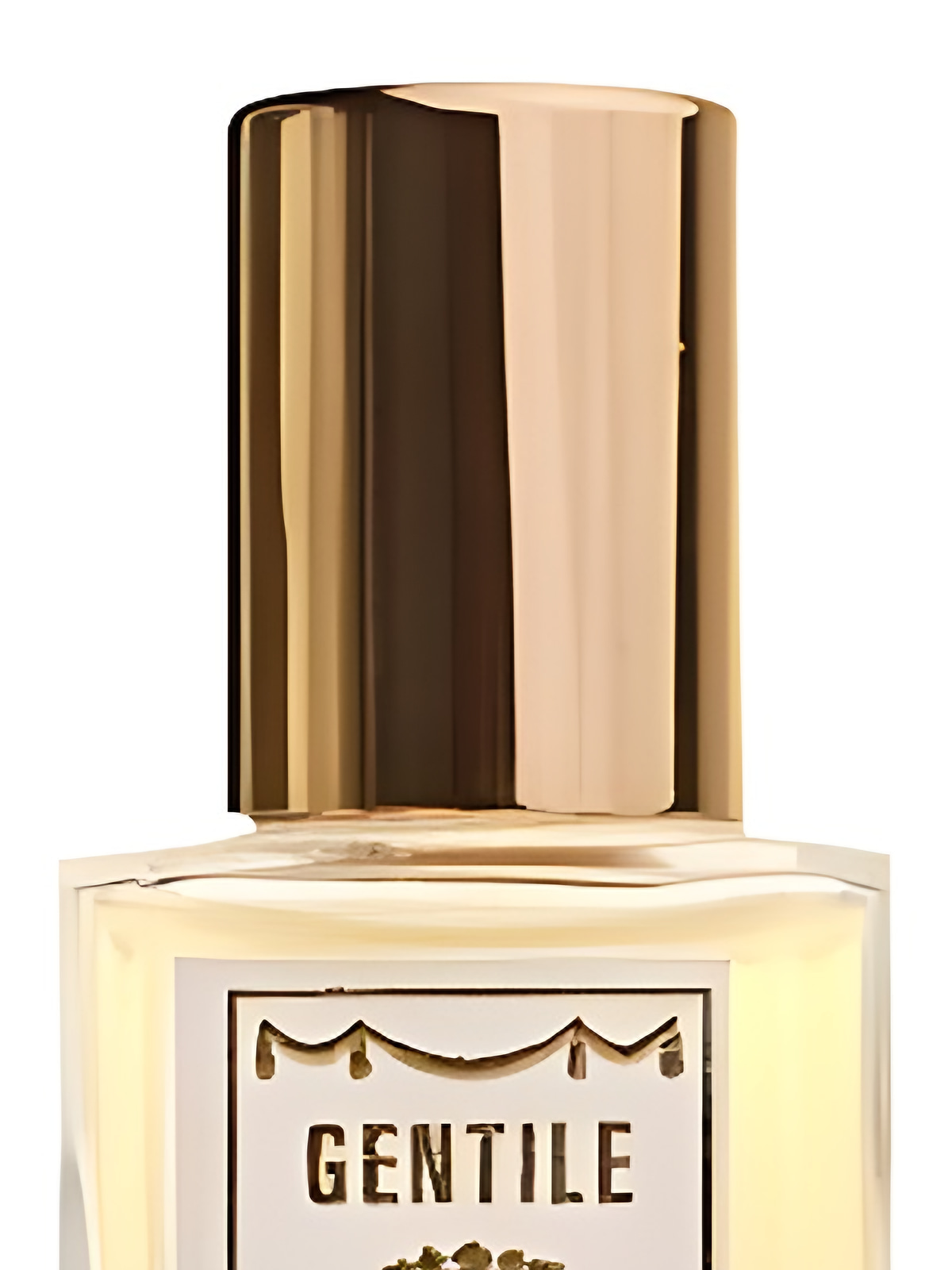 Духи Maria Candida Gentile Gentile Extrait de Parfum мужские 30 мл фото 3