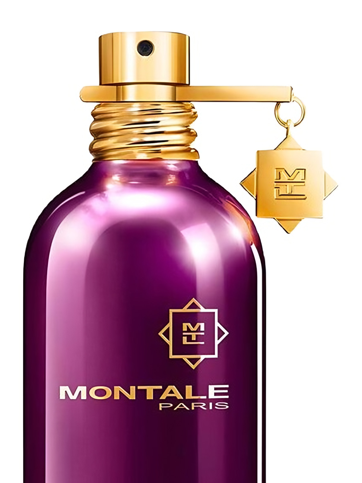 Парфюмерная вода Montale Aoud Greedy Eau de Parfum унисекс 100 мл фото 5