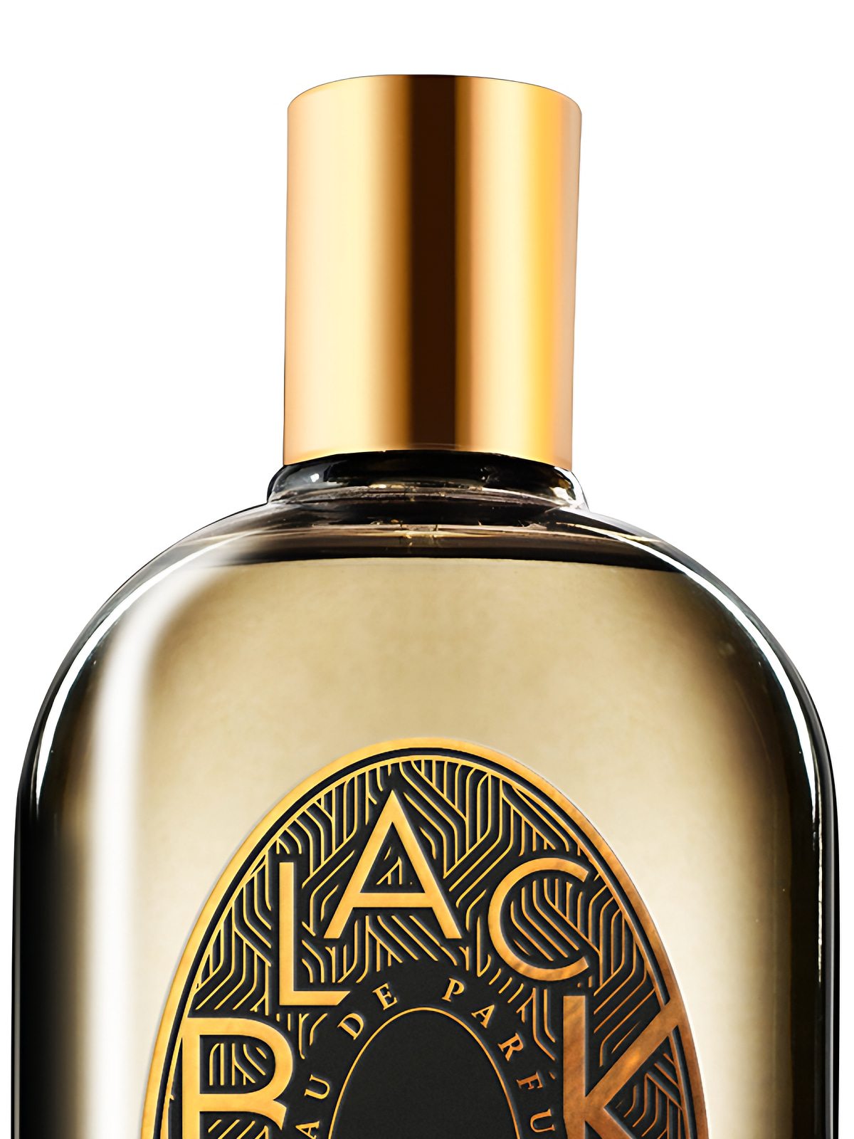 Парфюмерная вода Phaedon Black Vetiver Eau de Parfum унисекс 100 мл фото 3