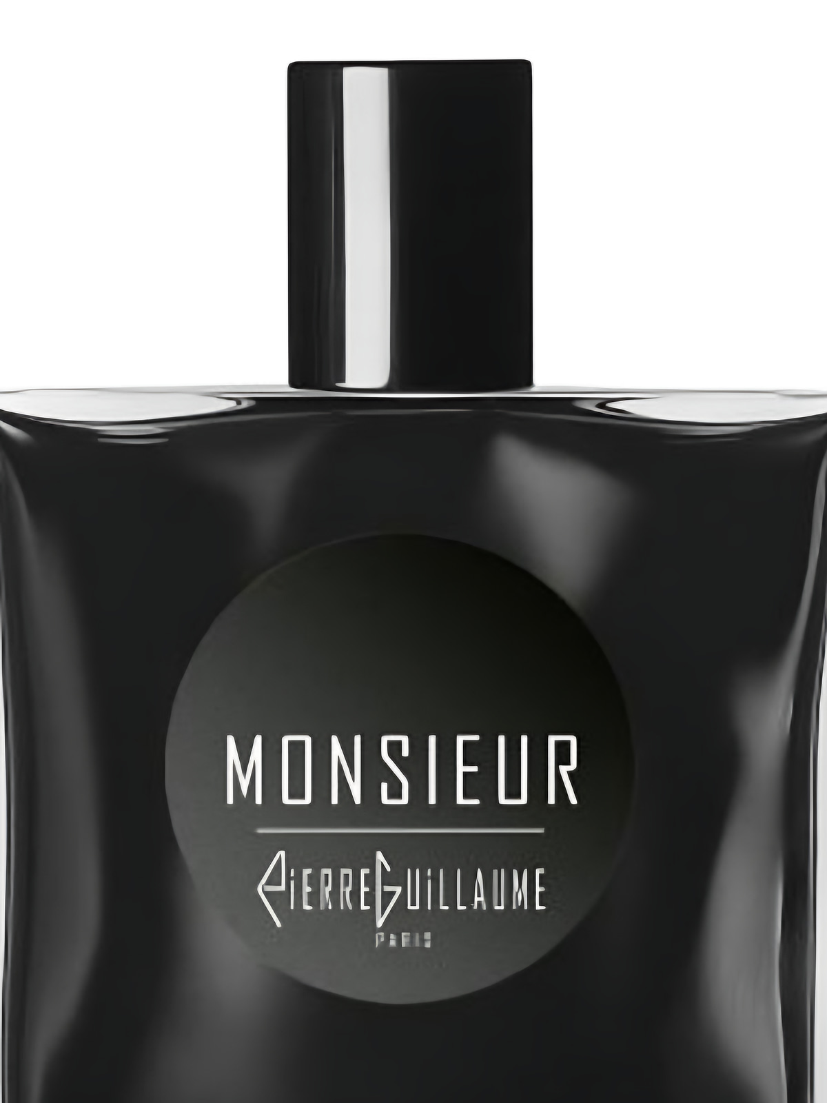 Парфюмерная вода Pierre Guillaume Paris Monsieur Eau de Parfum мужская 100 мл фото 2