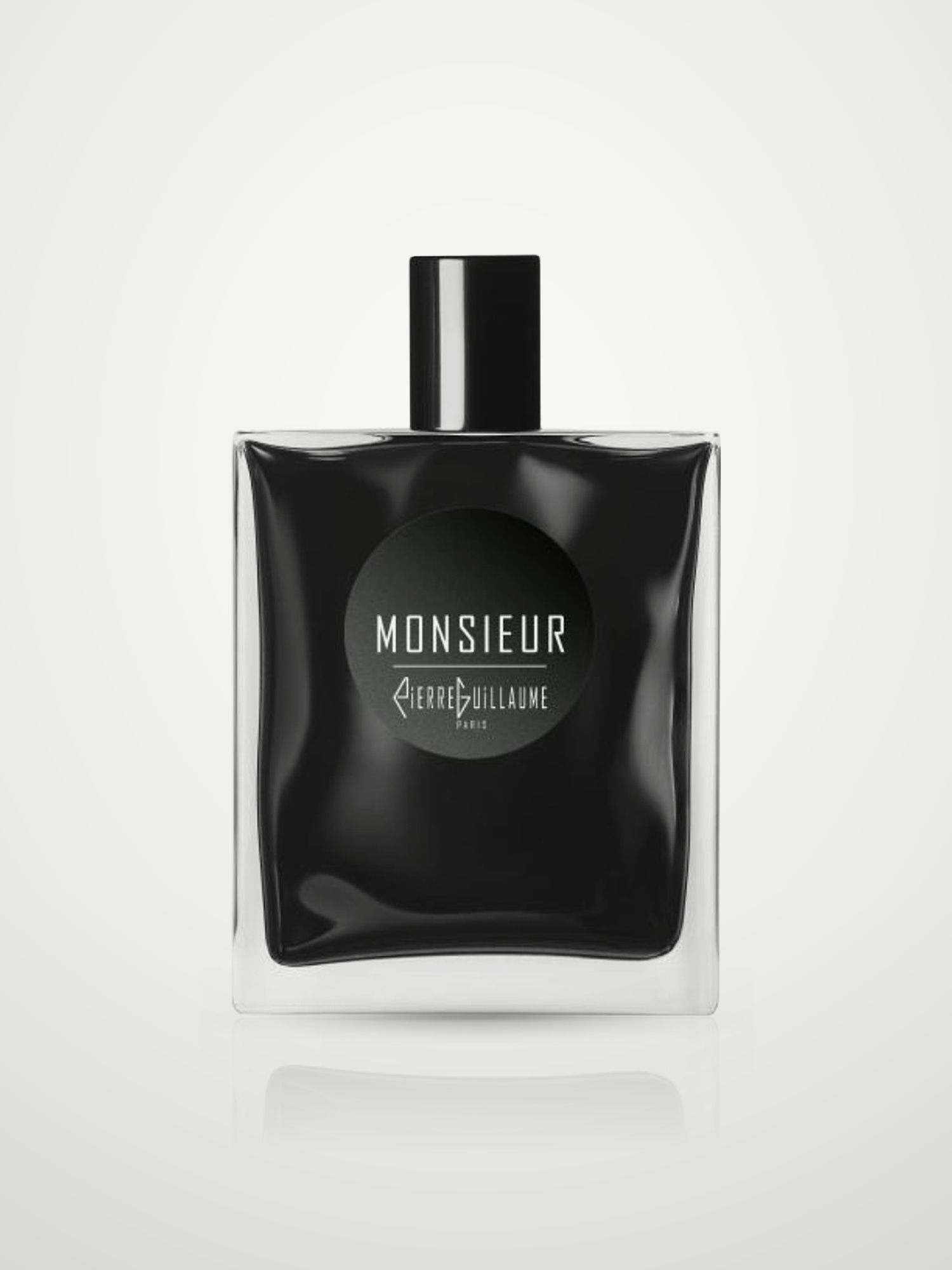 Парфюмерная вода Pierre Guillaume Paris Monsieur Eau de Parfum мужская 100 мл Pierre Guillaume