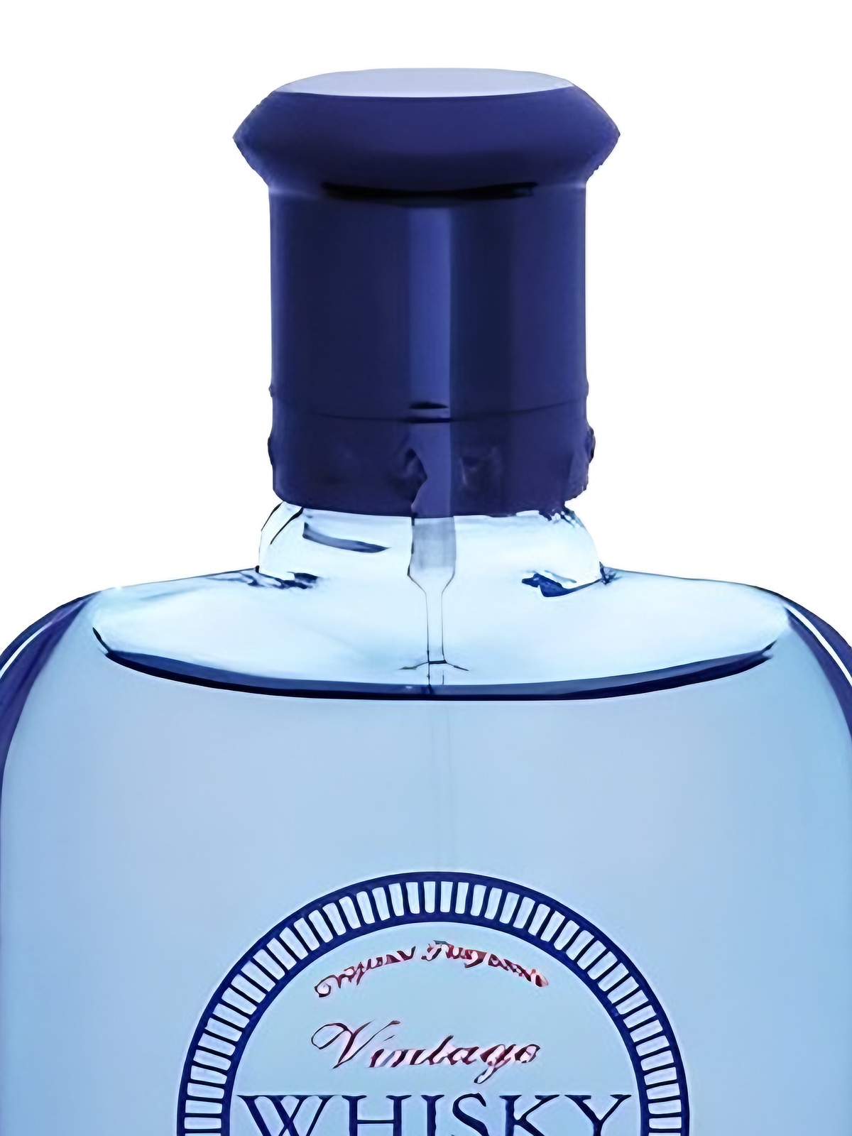 Туалетная вода Evaflor Whisky Vintage Eau de Toilette мужская 100 мл фото 2