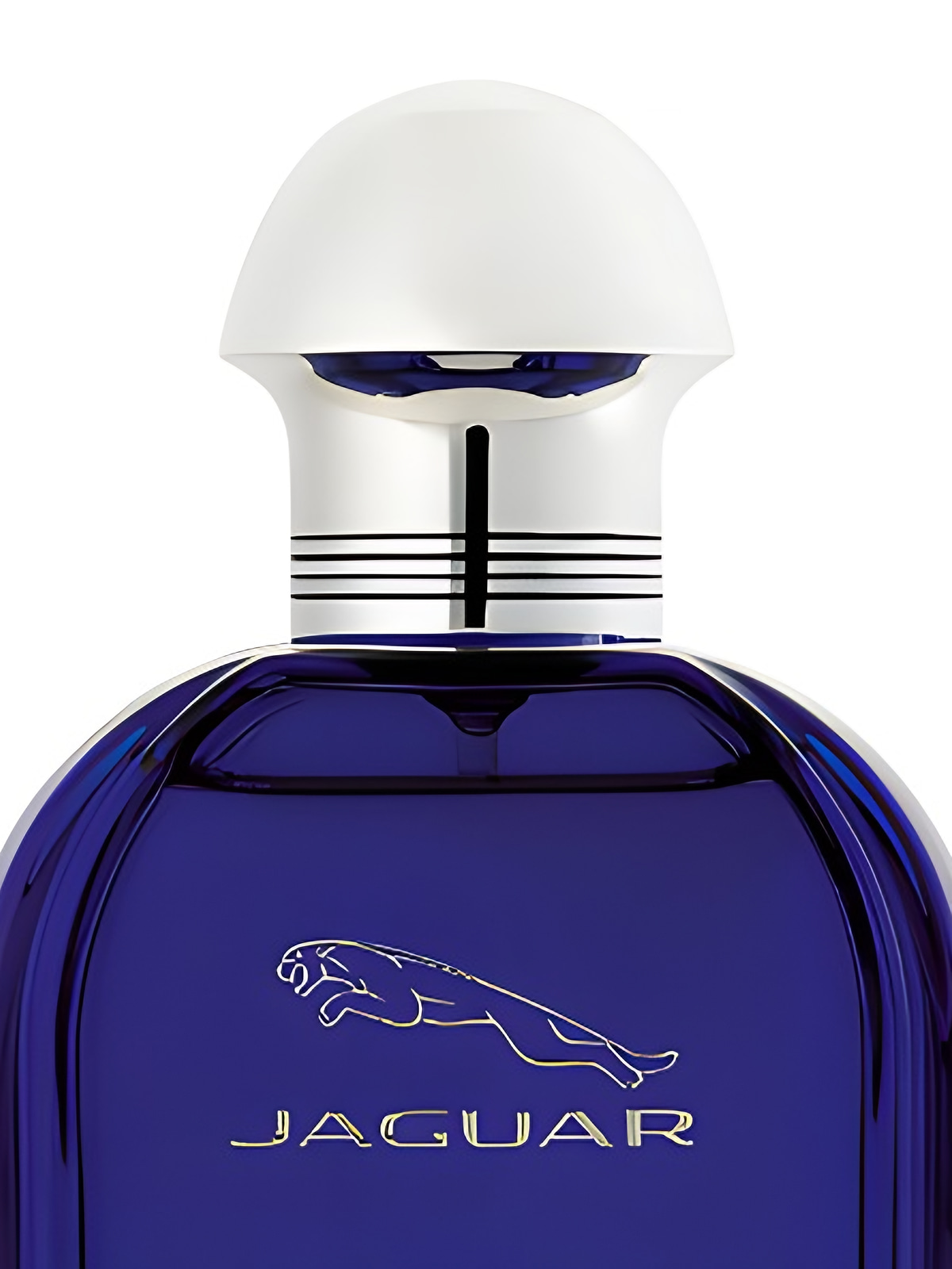 Туалетная вода Jaguar For Men Evolution Eau de Toilette мужская 100 мл фото 2