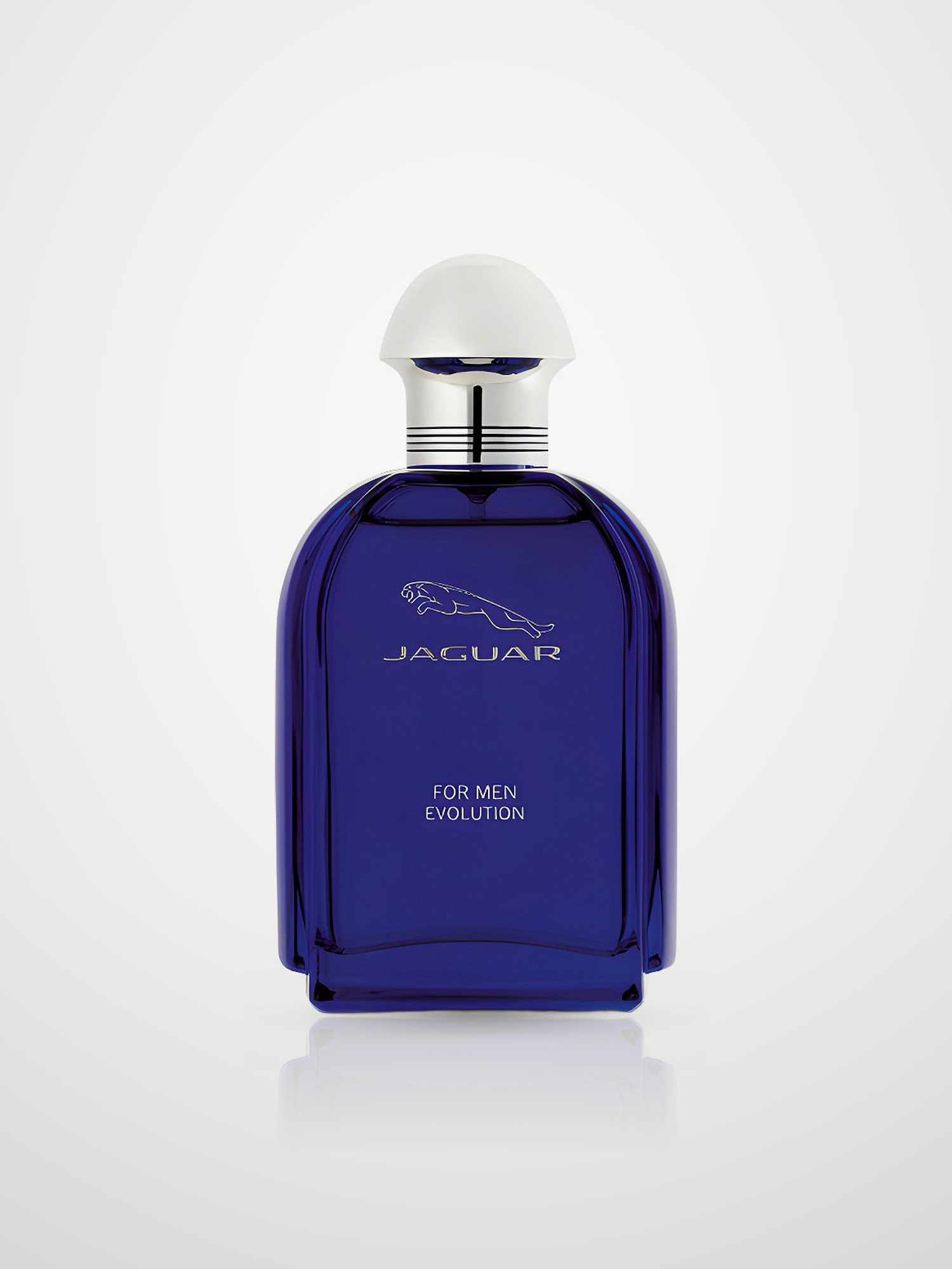 Туалетная вода Jaguar For Men Evolution Eau de Toilette мужская 100 мл Jaguar