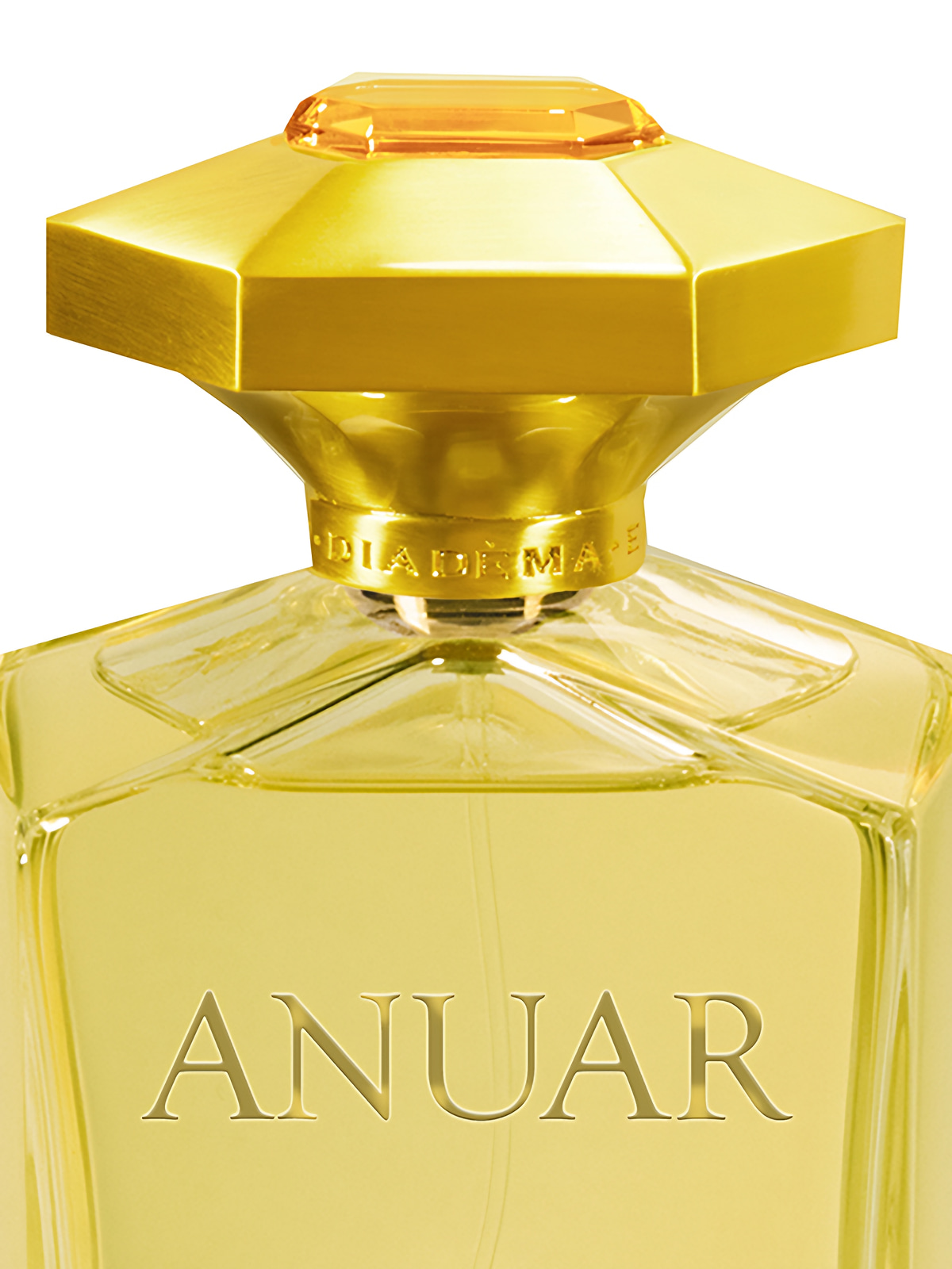 Духи Diadema Exclusif Anuar Extrait de Parfum мужские 100 мл фото 2