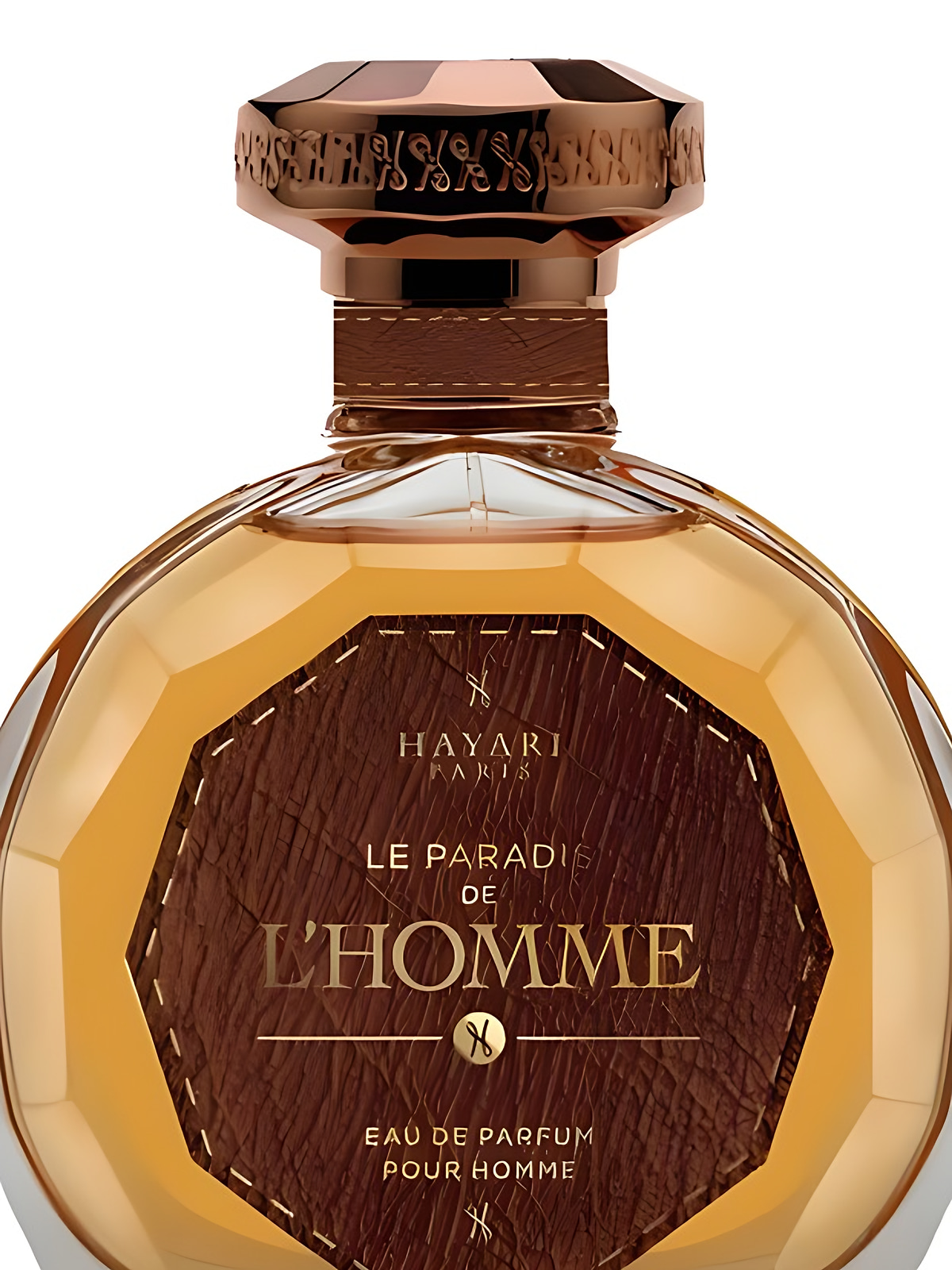 Парфюмерная вода Hayari Parfums Le Paradis de L'Homme Eau de Parfum мужская 100 мл фото 2
