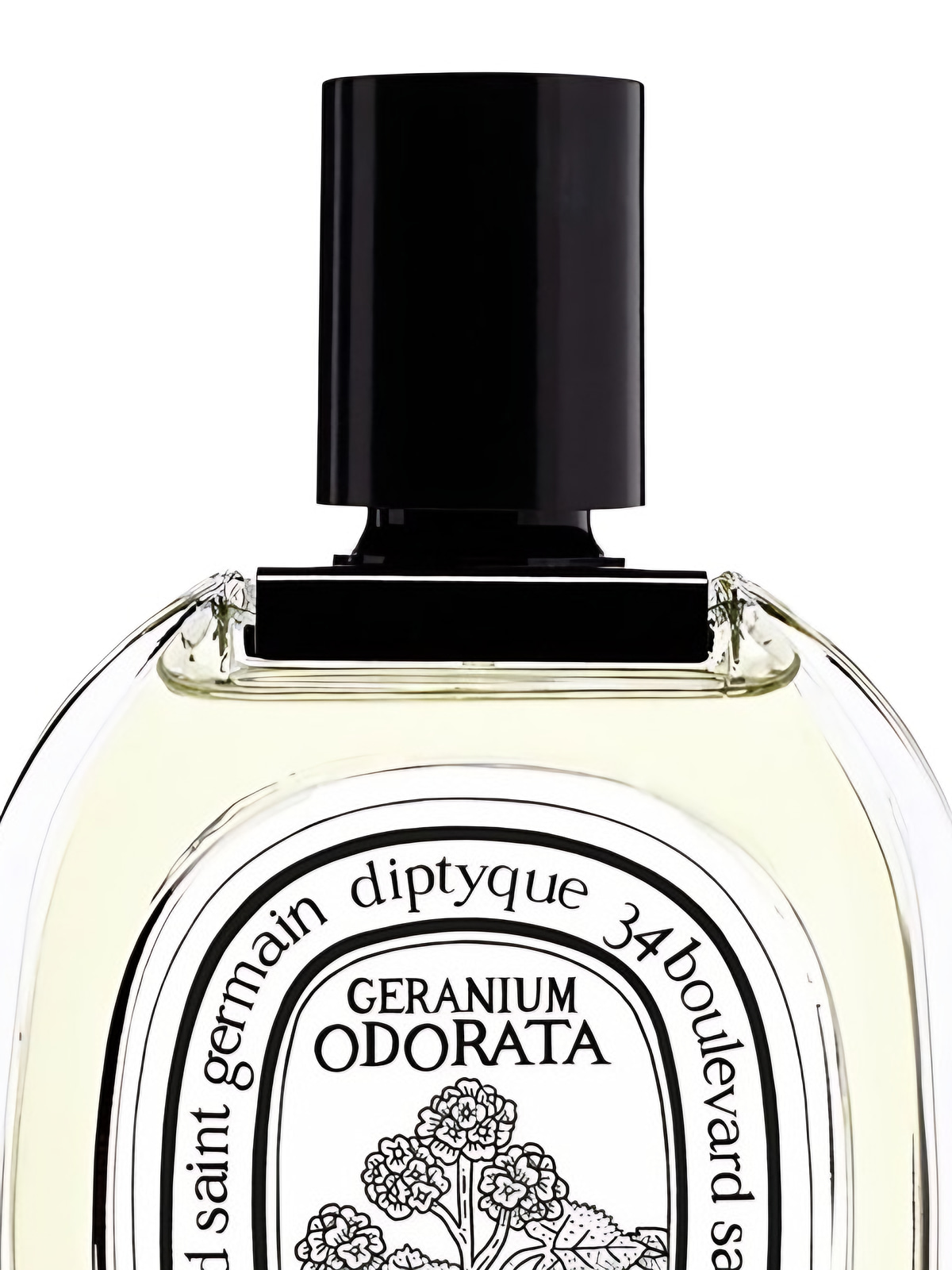 Туалетная вода Diptyque Geranium Odorata Eau de Toilette унисекс 100 мл фото 3