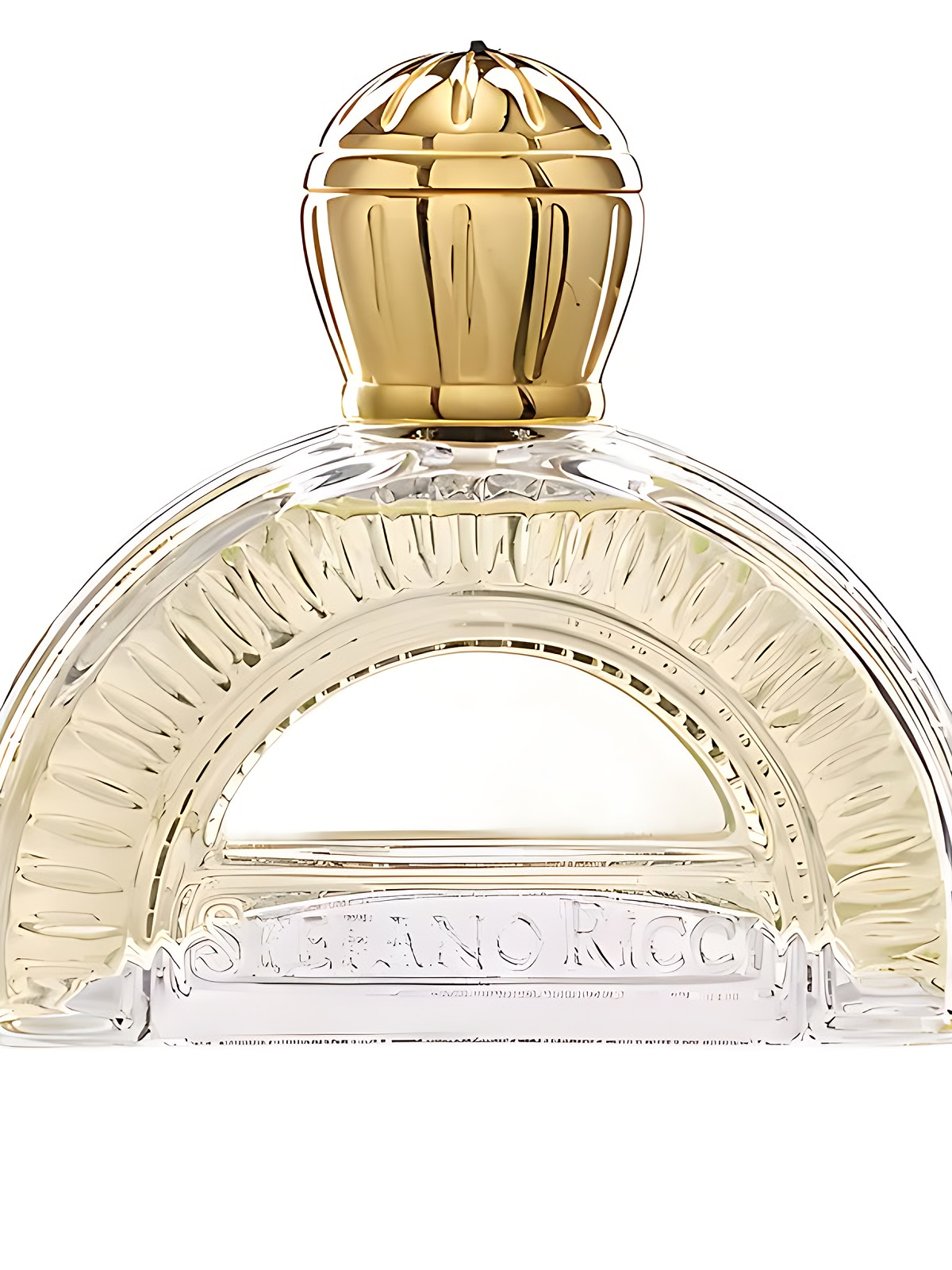 Парфюмерная вода Stefano Ricci Classic Eau de Parfum мужская 100 мл фото 4