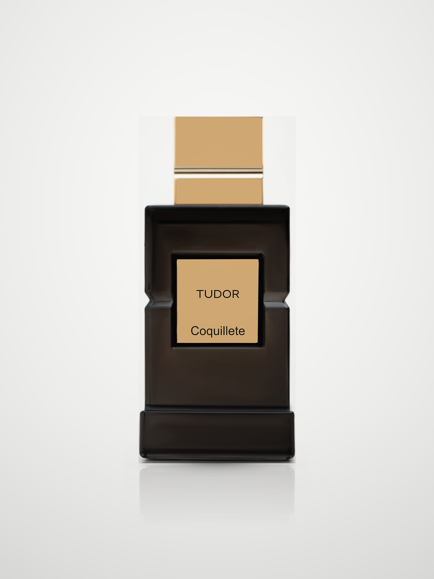 Парфюмерная вода Coquillete Tudor Eau de Parfum унисекс 100 мл Coquillete