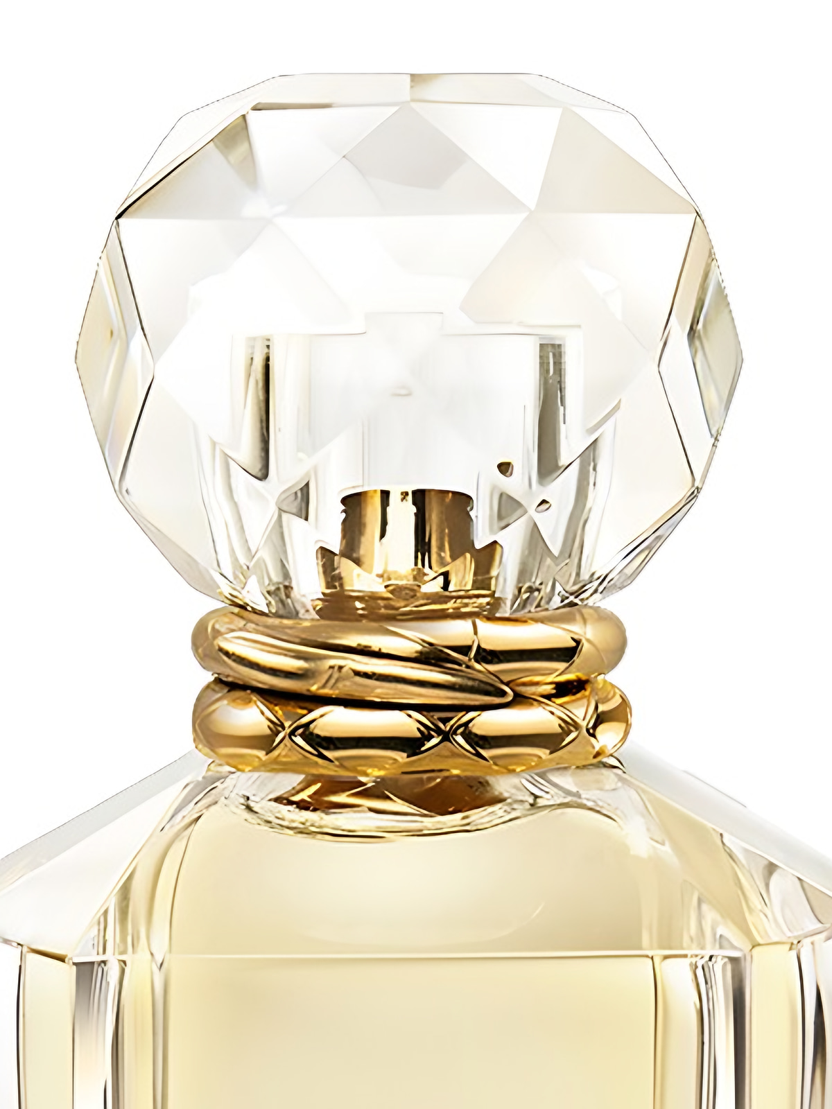 Парфюмерная вода Roberto Cavalli Paradiso Eau de Parfum женская 50 мл фото 2