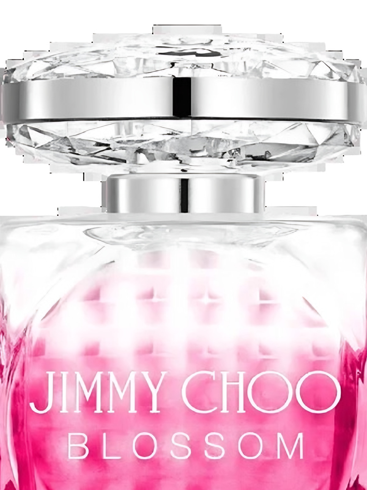 Парфюмерная вода Jimmy Choo Blossom Eau de Parfum женская 100 мл фото 2