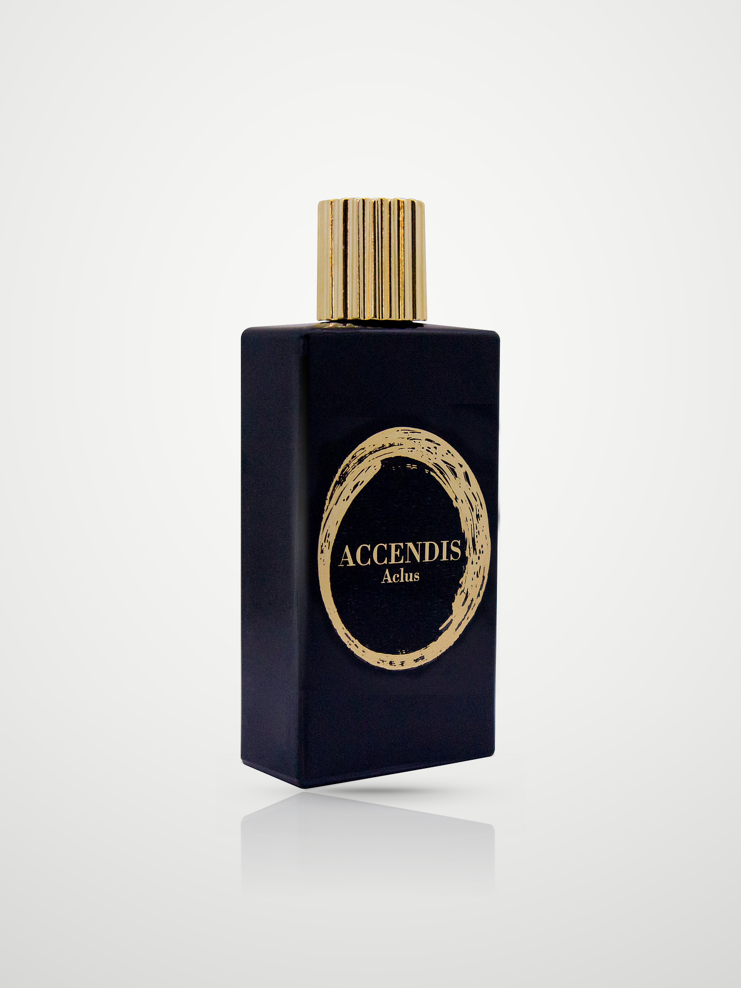 Парфюмерная вода Accendis Aclus Eau de Parfum унисекс 100 мл Accendis