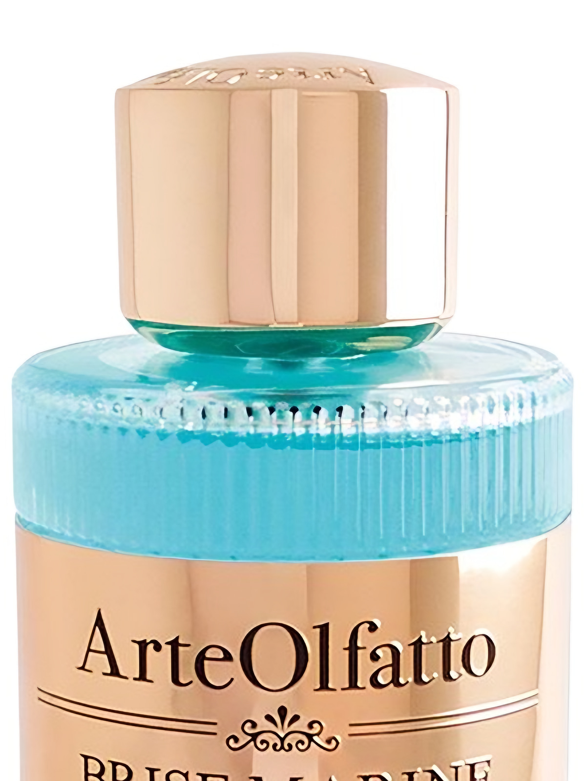 Духи ArteOlfatto Brise Marine Extrait de Parfum унисекс 100 мл фото 2