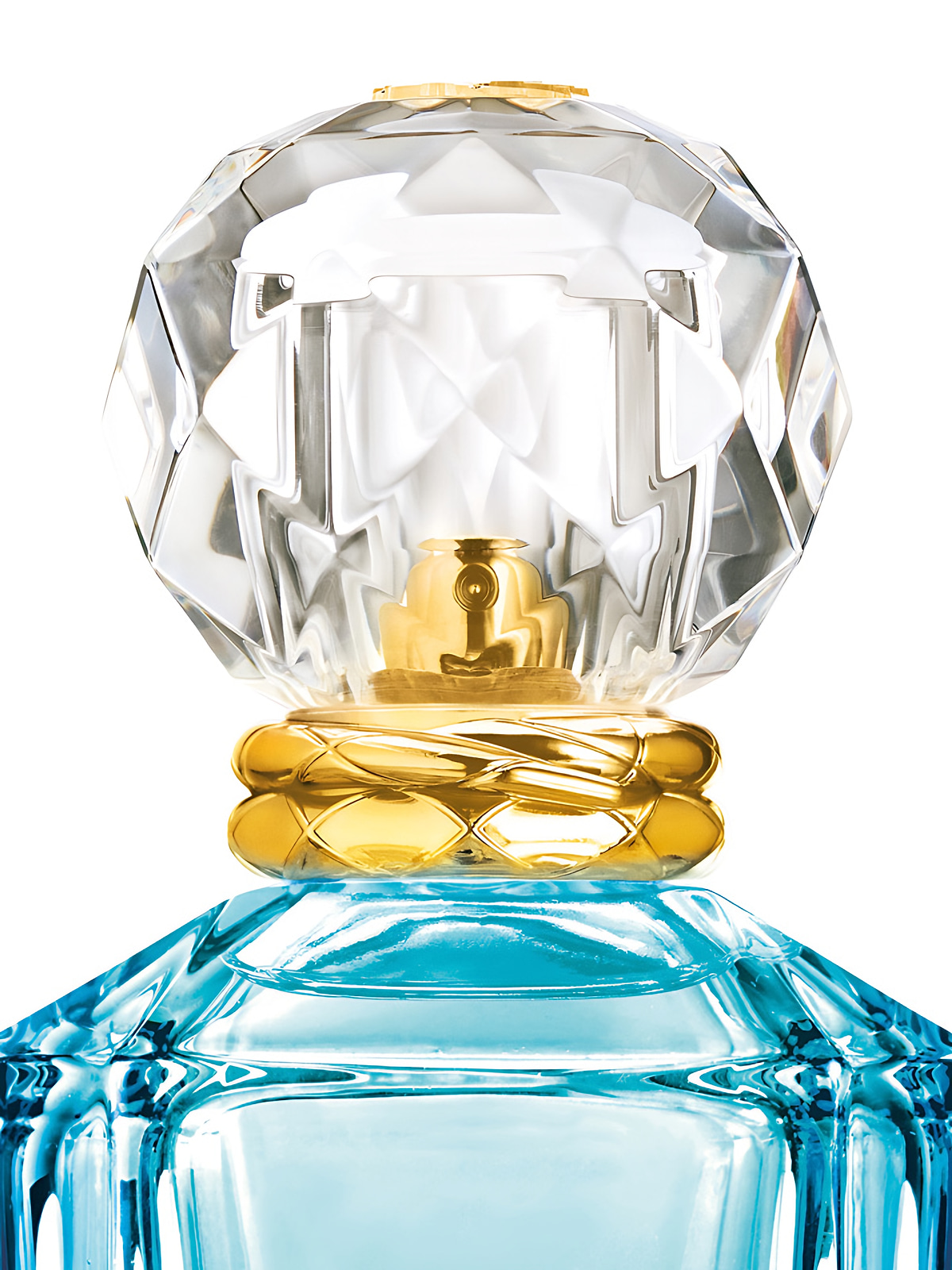Парфюмерная вода Roberto Cavalli Paradiso Azzurro Eau de Parfum женская 100 мл фото 4