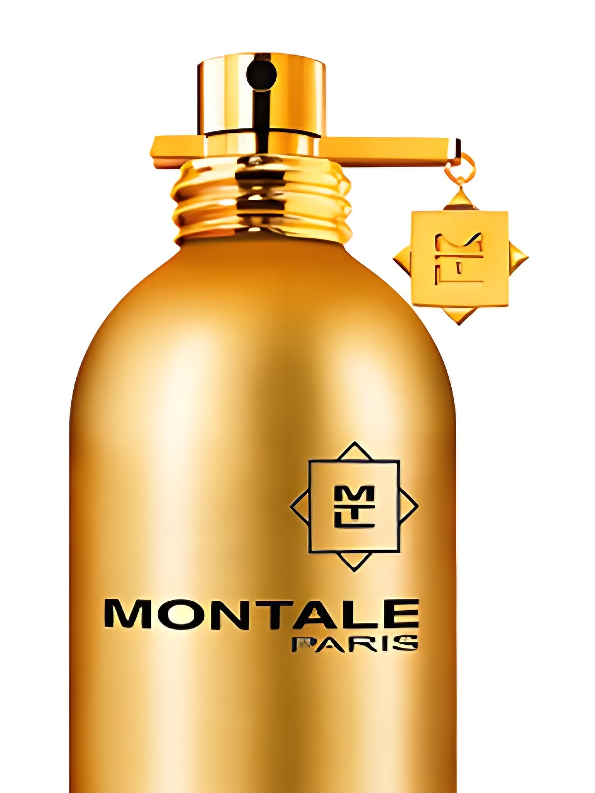 Парфюмерная вода Montale Aoud Ambre Eau de Parfum унисекс 50 мл фото 6