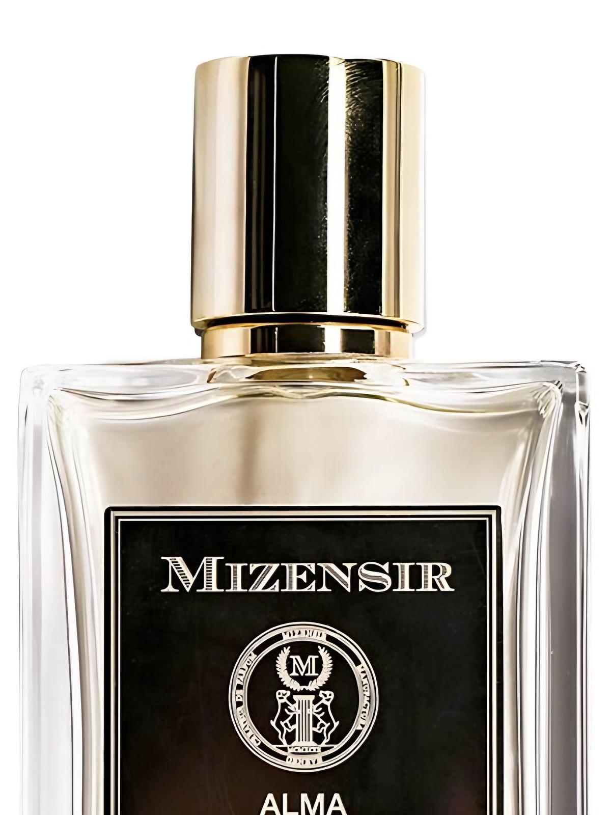 Парфюмерная вода Mizensir Alma de Rosario Eau de Parfum унисекс 100 мл фото 4