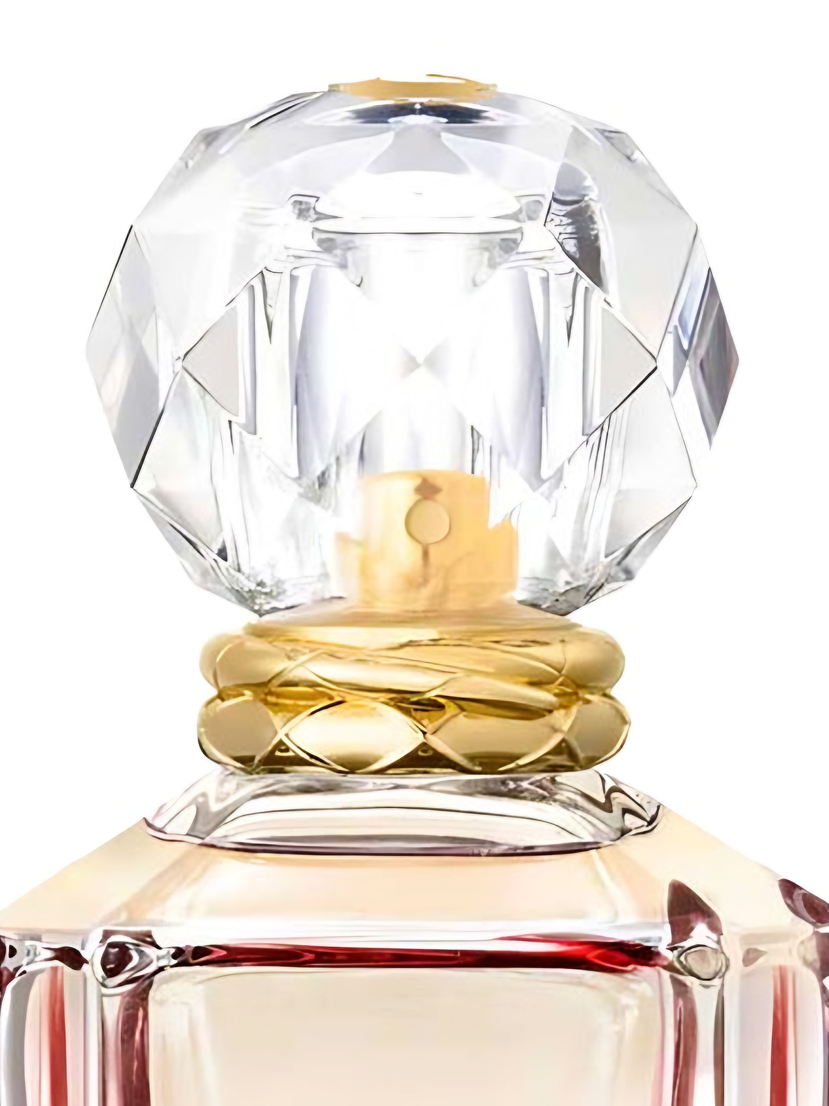 Парфюмерная вода Roberto Cavalli Paradiso Assoluto Eau de Parfum женская 50 мл фото 3