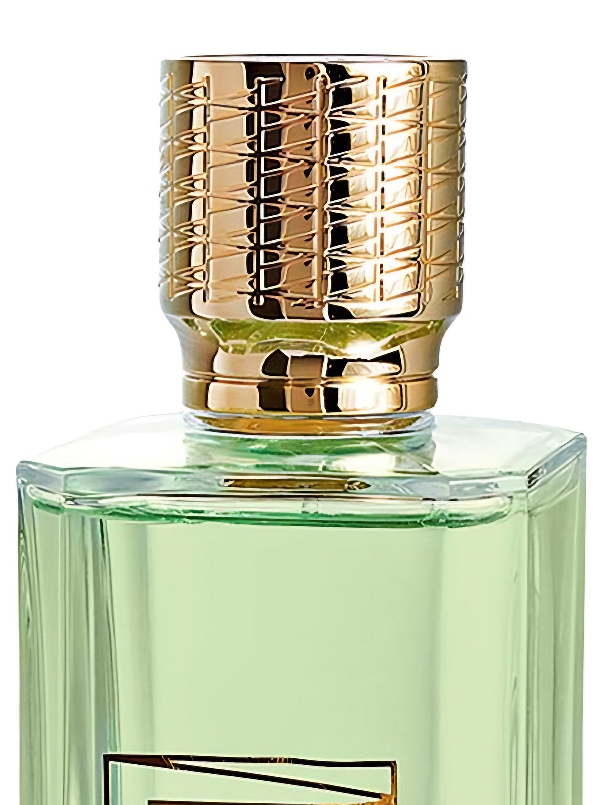 Парфюмерная вода Ex Nihilo Viper Green Eau de Parfum унисекс 50 мл фото 4