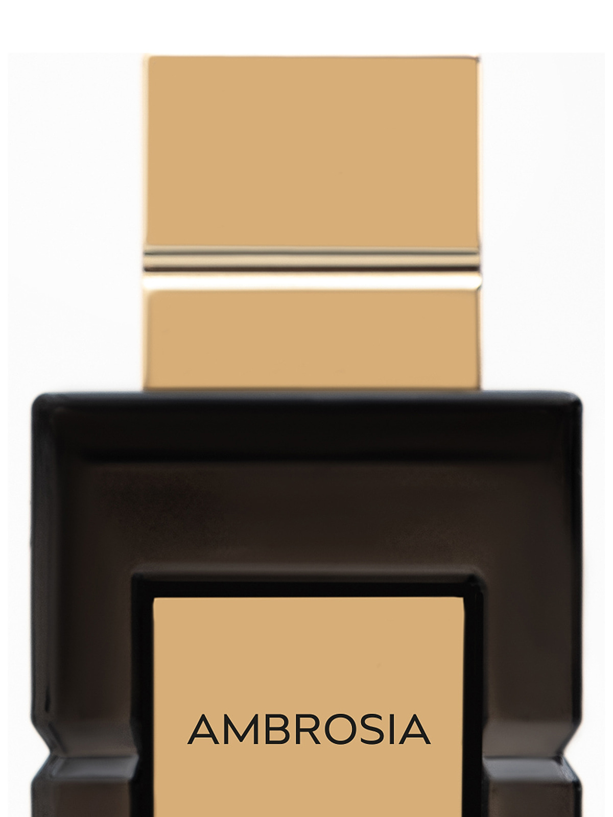 Парфюмерная вода Coquillete Ambrosia Eau de Parfum унисекс 100 мл фото 3