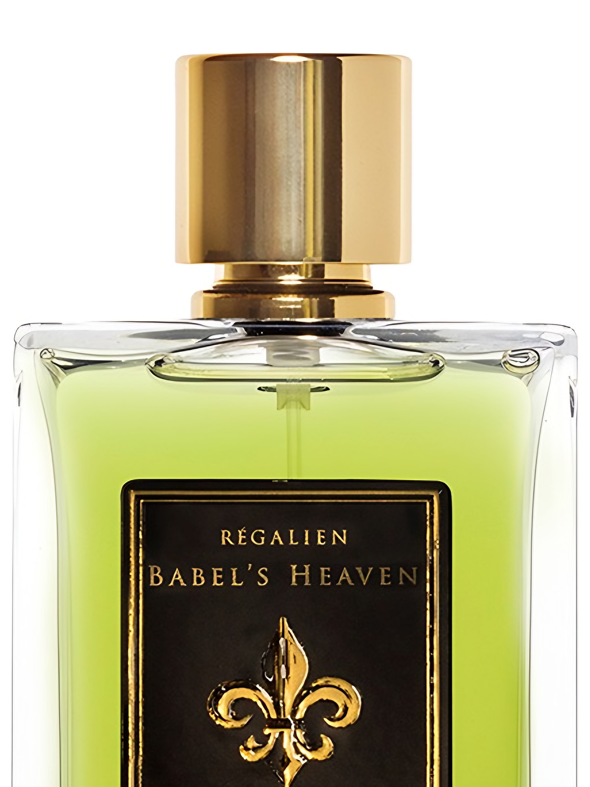 Парфюмерная вода Regalien Babel's Heaven Eau de Parfum унисекс 100 мл фото 3