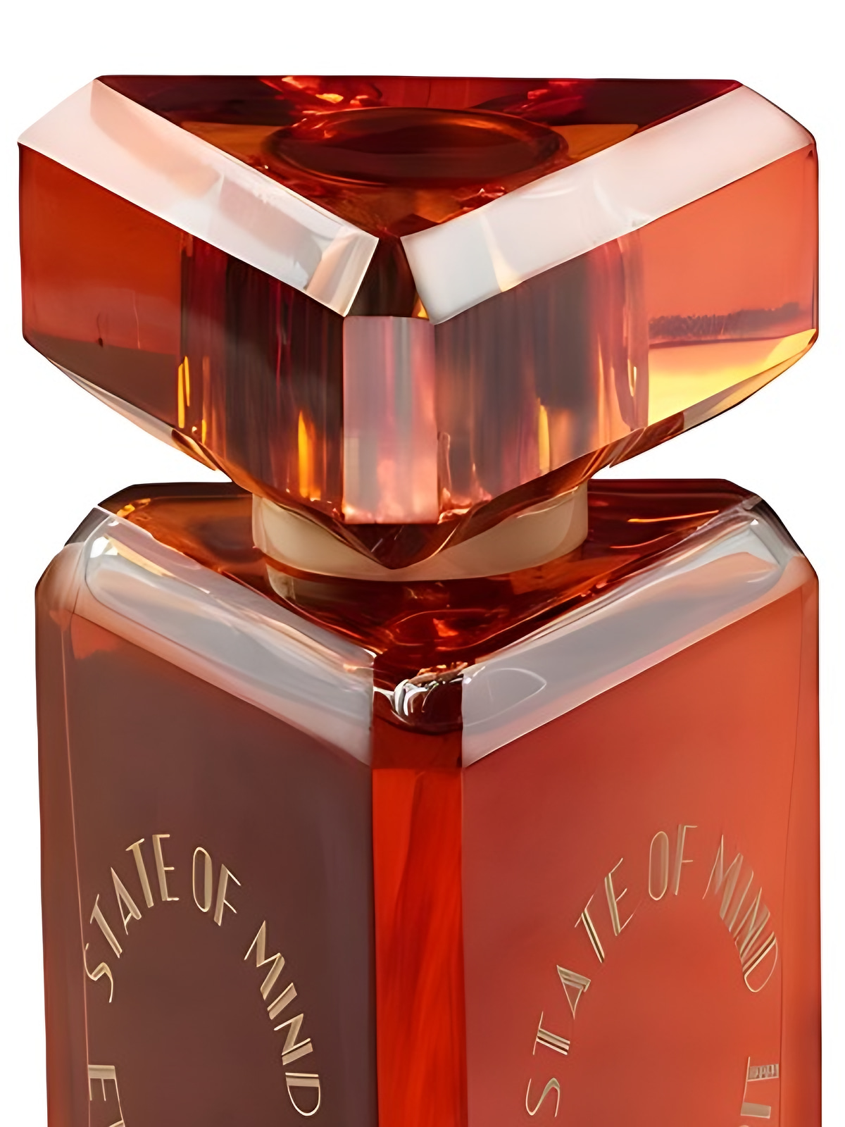 Парфюмерная вода State of Mind Aesthetic Turbulence Eau de Parfum унисекс 100 мл фото 2