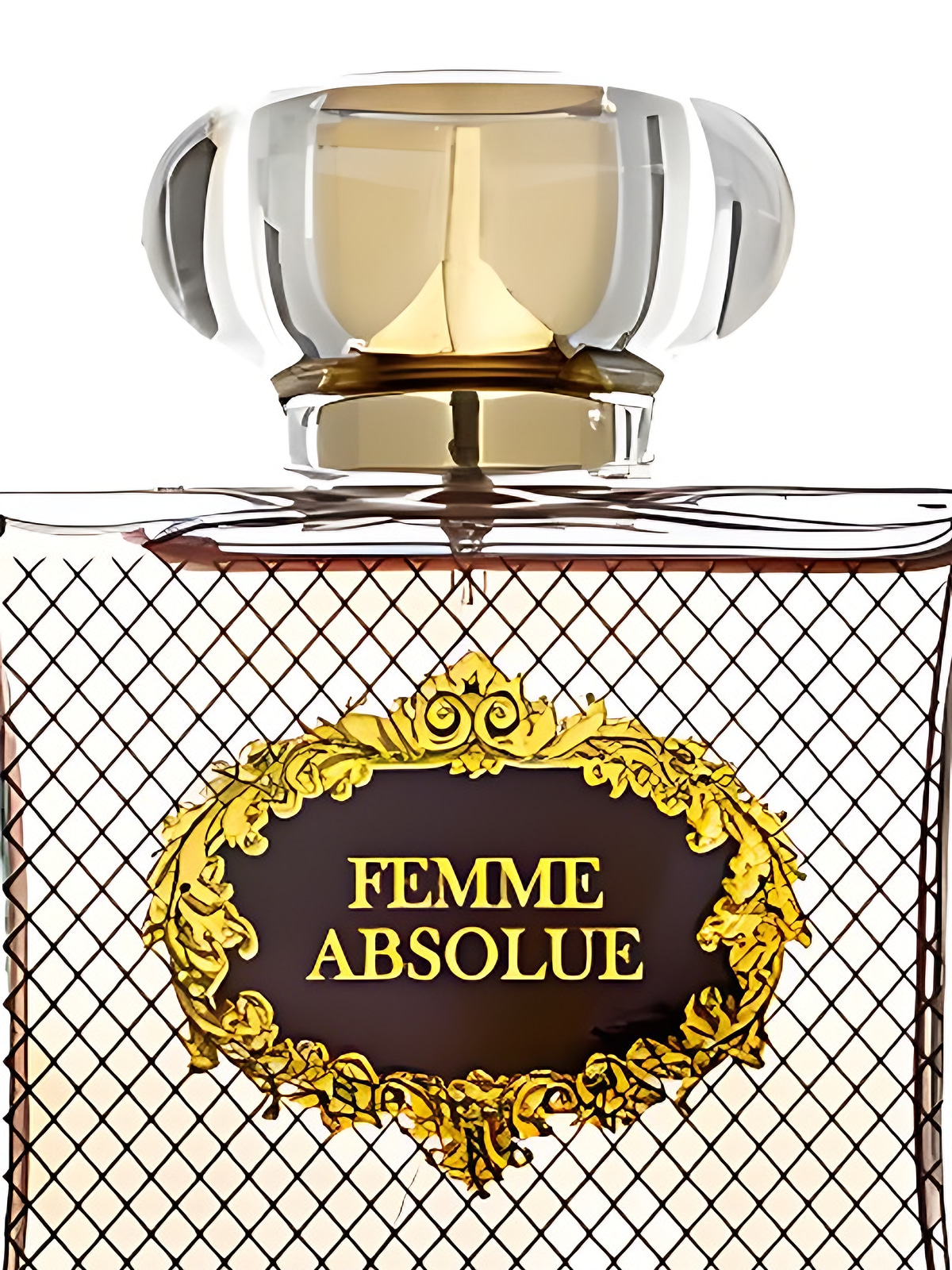 Парфюмерная вода Vicky Tiel Femme Absolue Eau de Parfum женская 100 мл фото 3