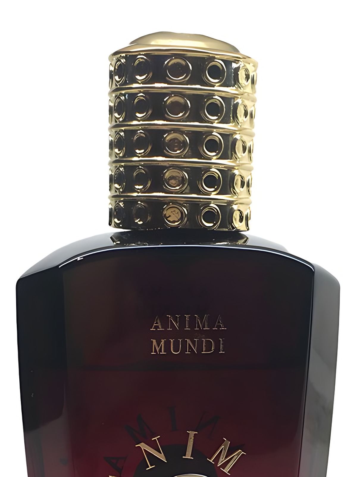Духи Anima Mundi Ankh Sun Amon Extrait de Parfum унисекс 75 мл фото 3