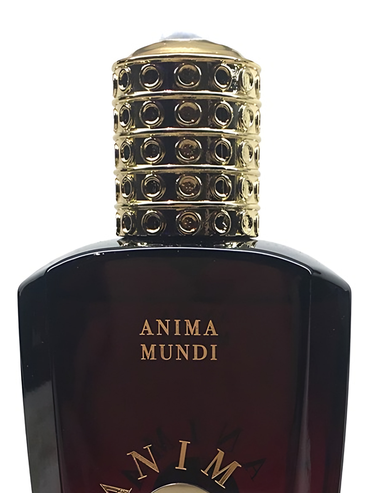 Духи Anima Mundi Dusara Extrait de Parfum унисекс 75 мл, вуди пряный аромат фото 4